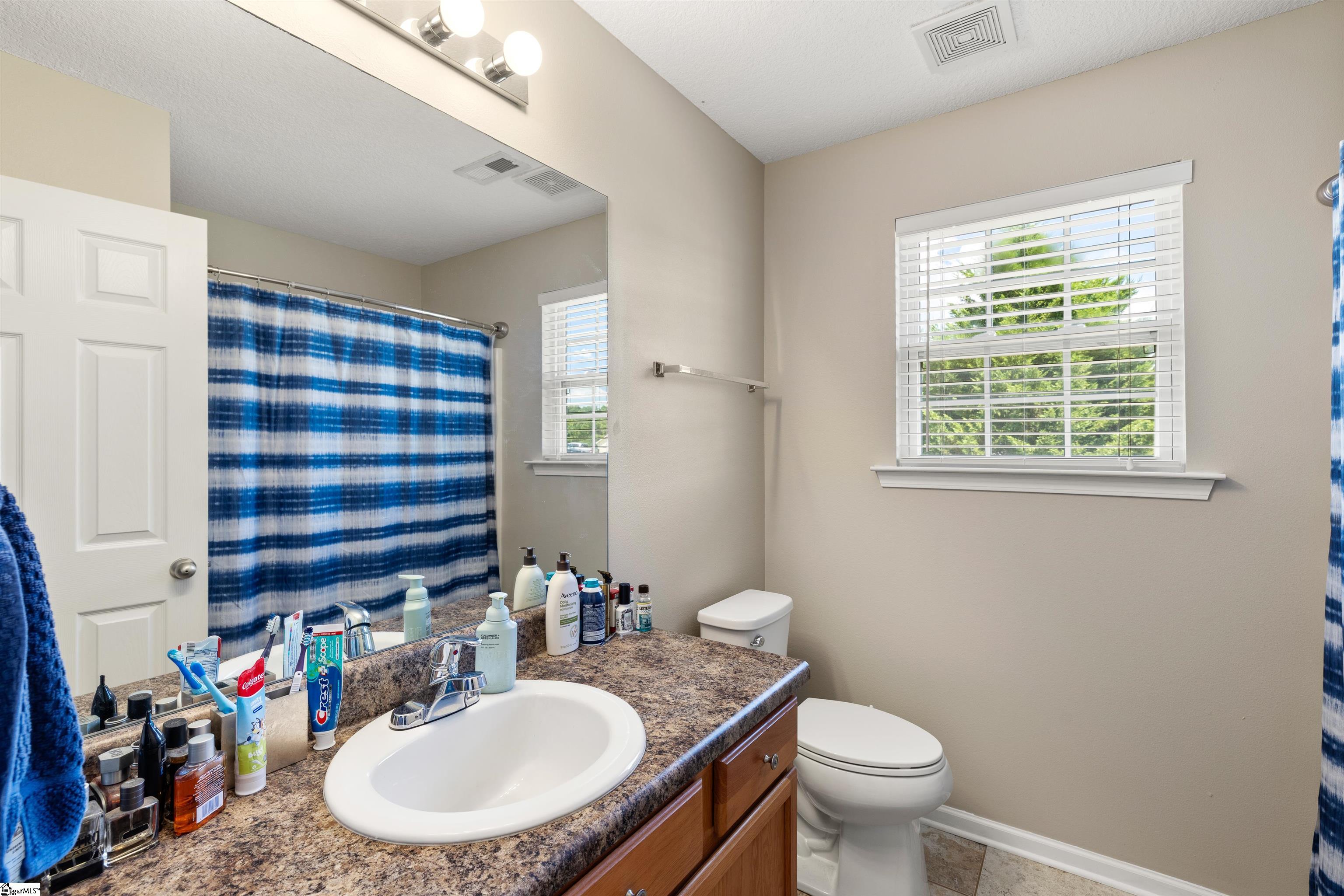 203 Turkey Trot Road Williamston, SC 29697