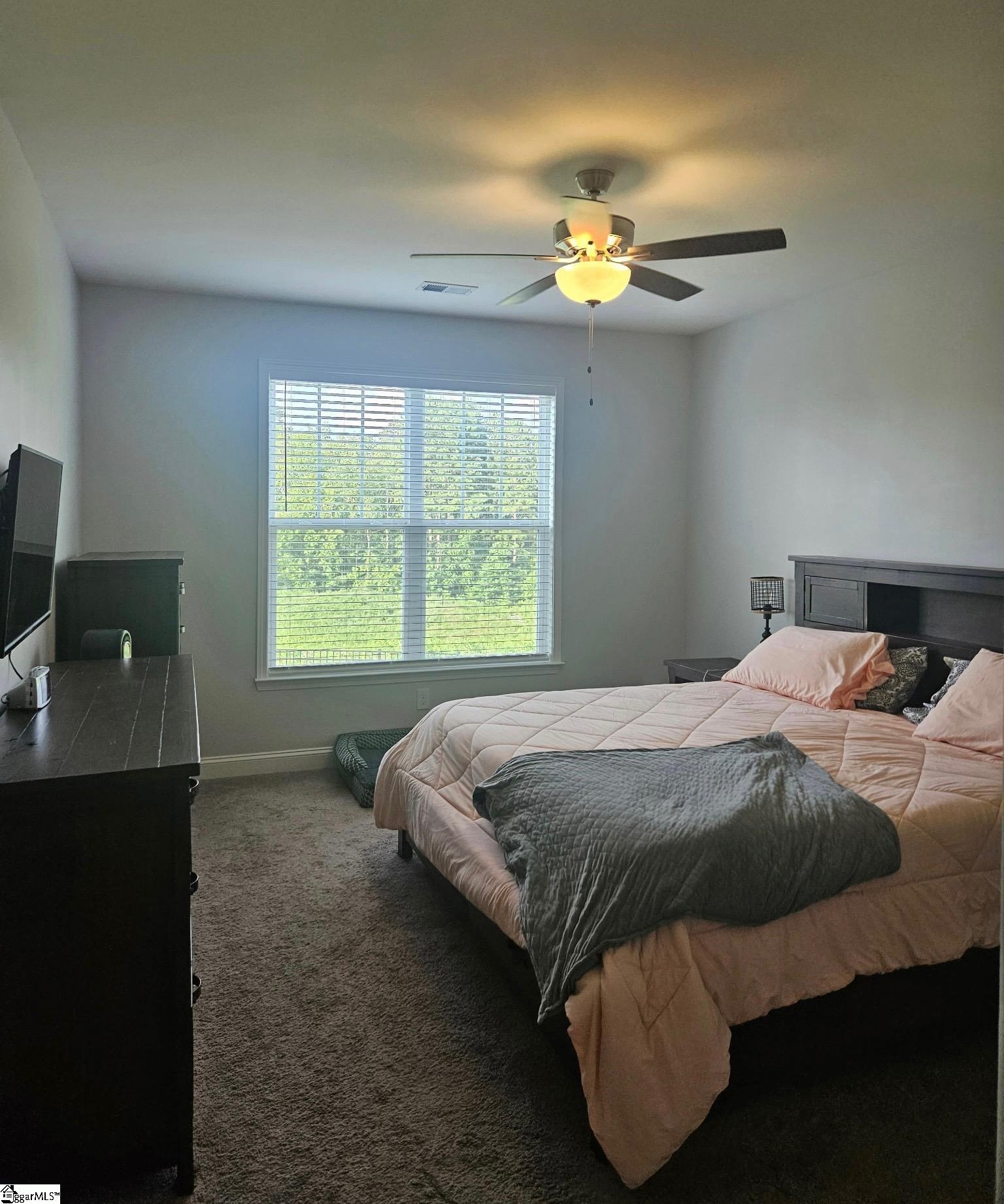209 Daystrom Drive Greer, SC 29651-1970