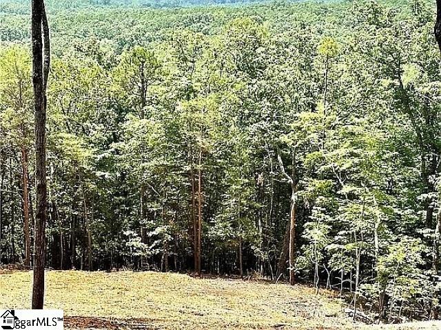 102 Long View Court Pickens, SC 29671