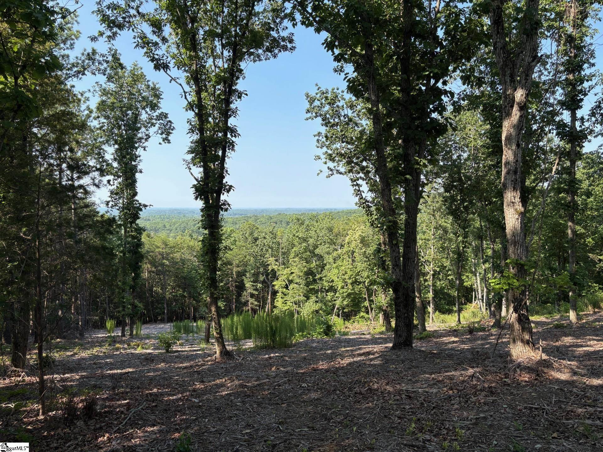 102 Long View Court Pickens, SC 29671