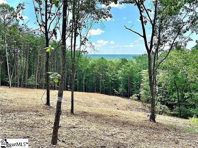102 Long View Court Pickens, SC 29671