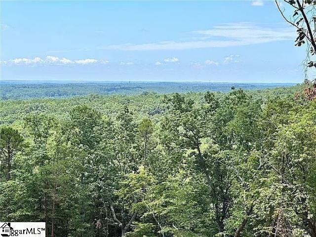 102 Long View Court Pickens, SC 29671