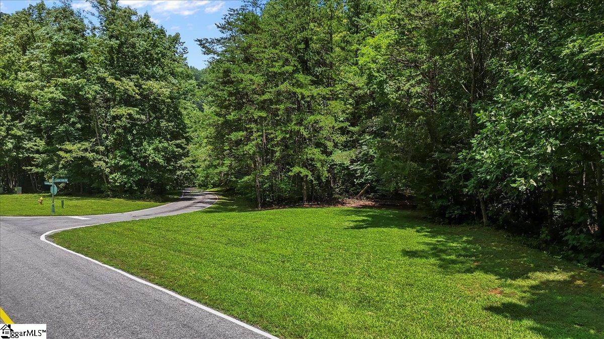 2 Granite Falls Drive Landrum, SC 29356