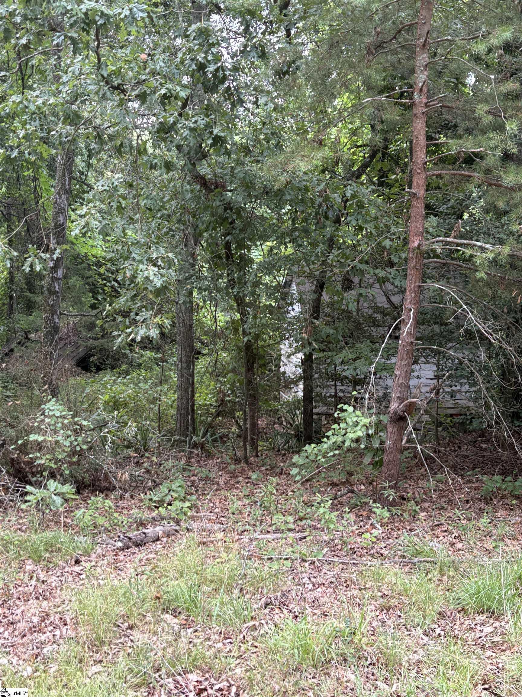 170 Railroad Street Liberty, SC 29657