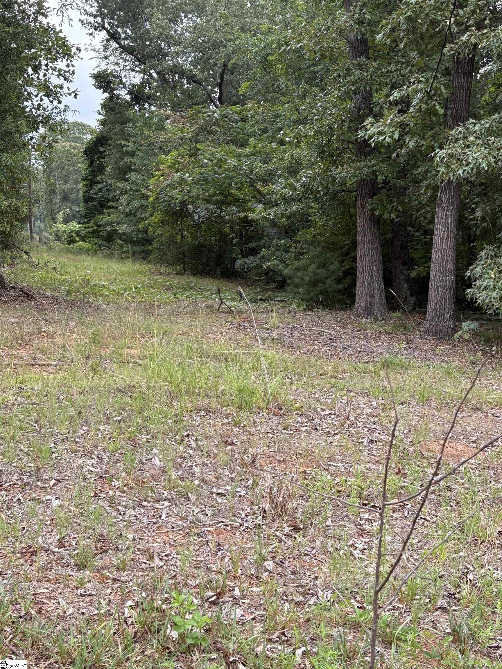 170 Railroad Street Liberty, SC 29657