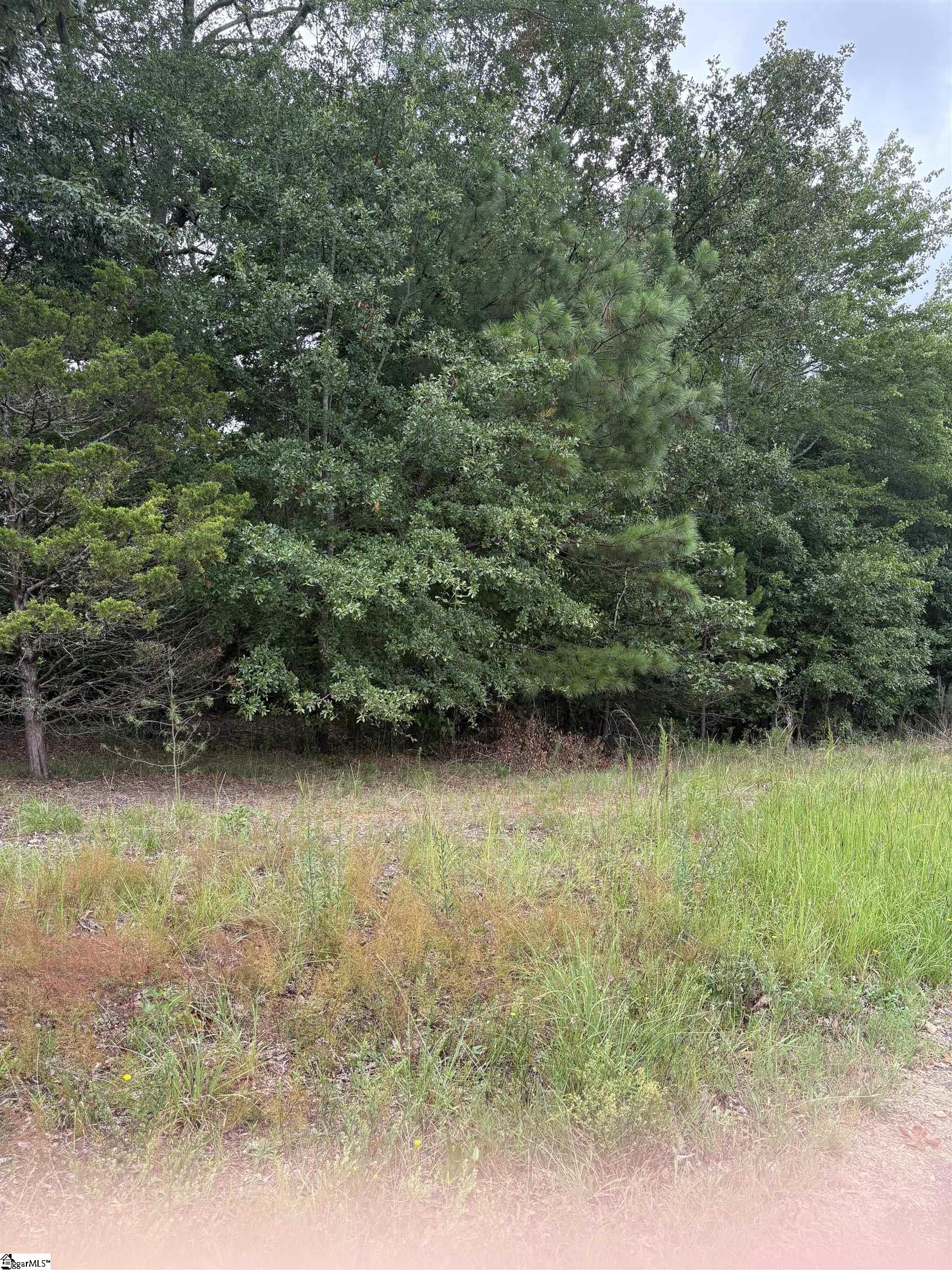 170 Railroad Street Liberty, SC 29657