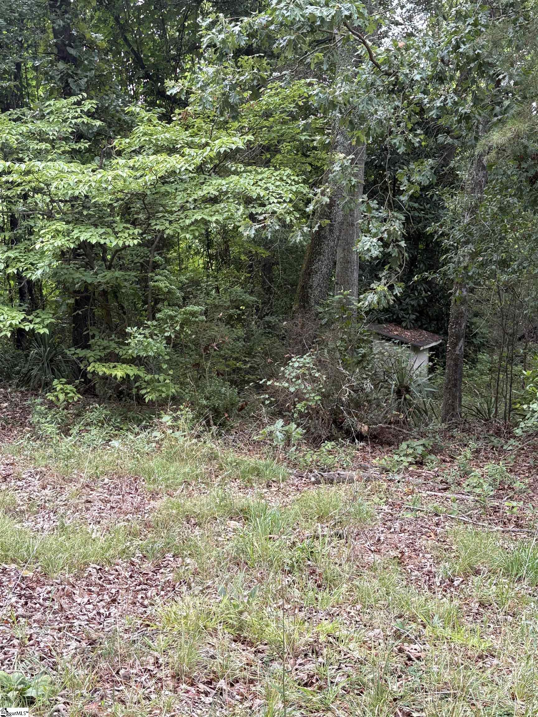 170 Railroad Street Liberty, SC 29657
