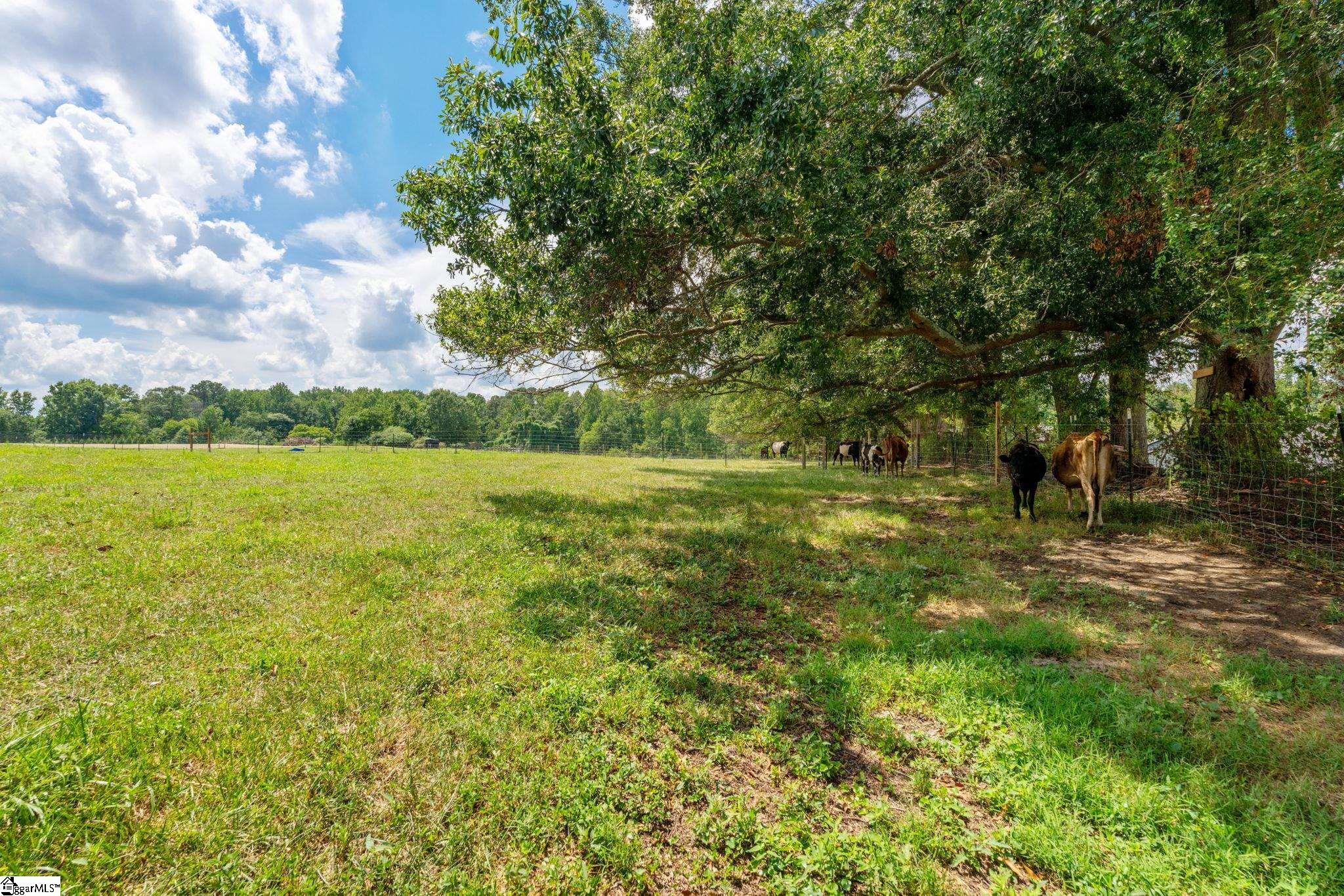 Old Furnace Road Chesnee, SC 29323
