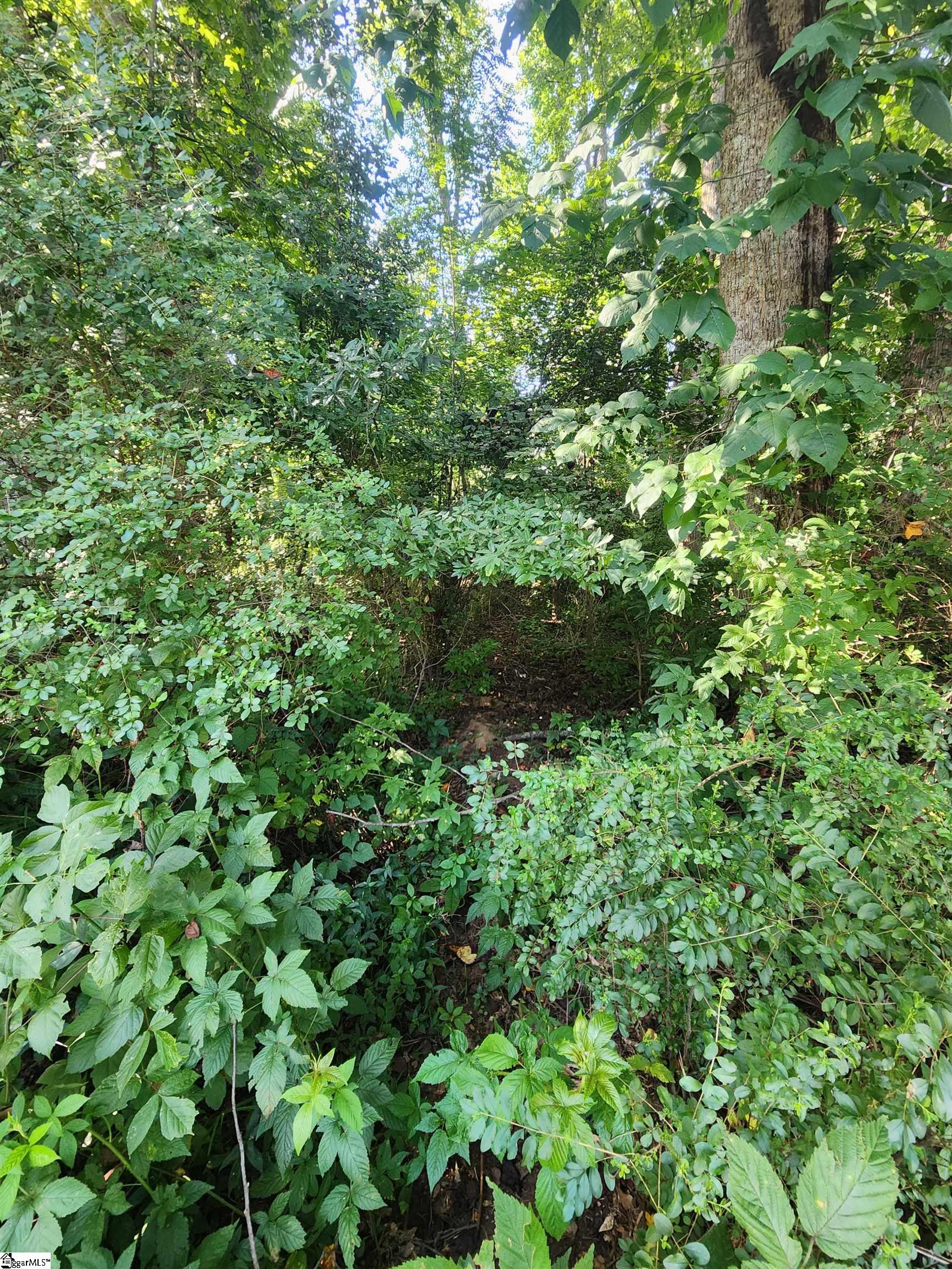 103 Quail Haven Drive Easley, SC 29642