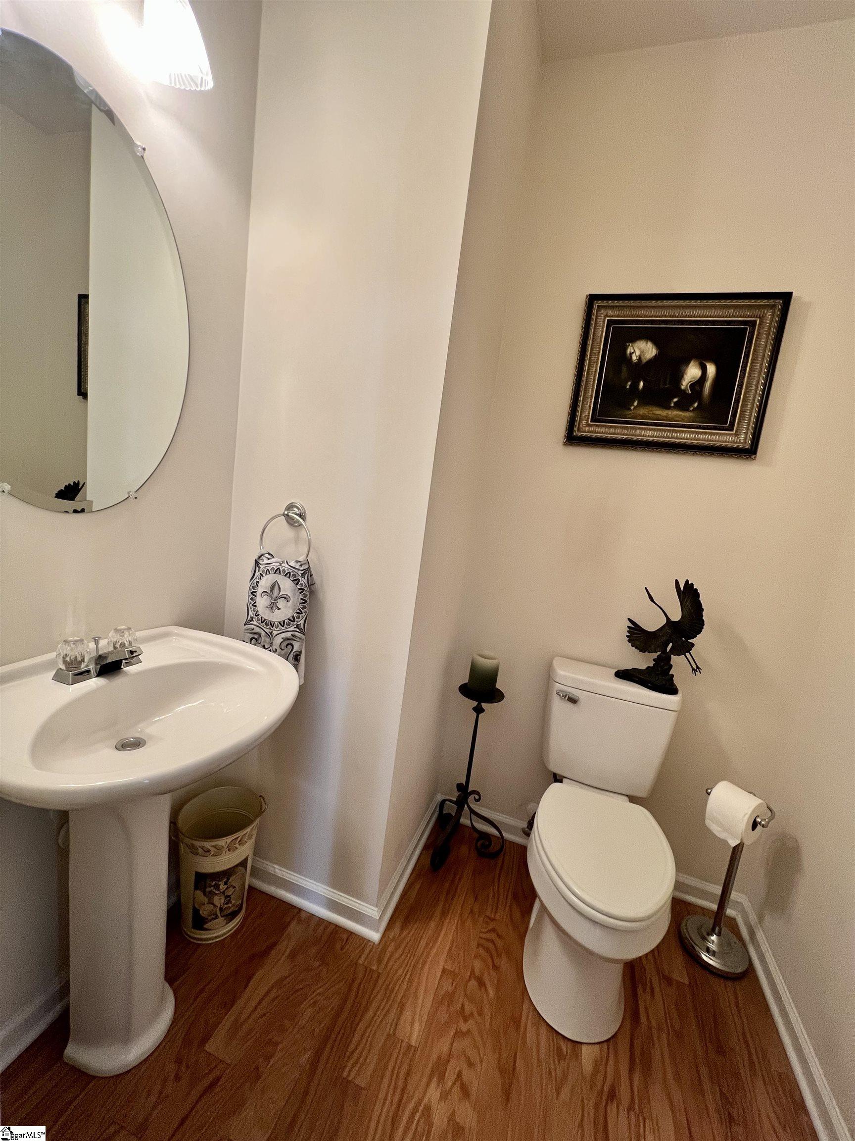704 Calle Place Greenville, SC 29607