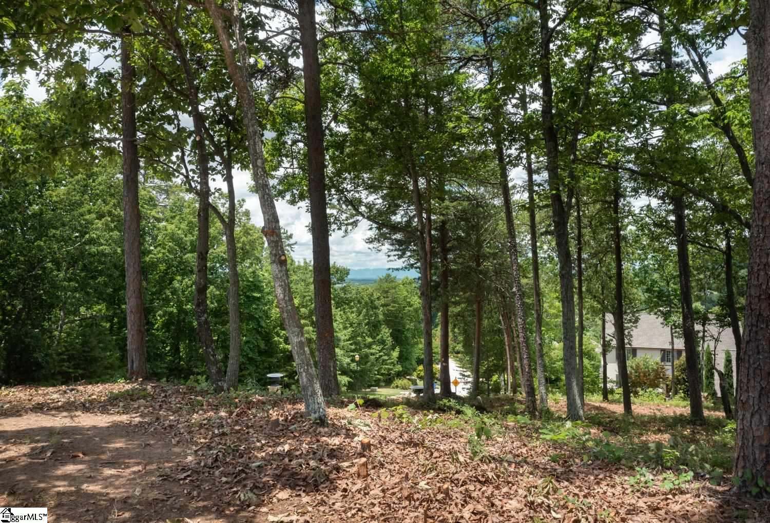 5 Donatello Court Greenville, SC 29609
