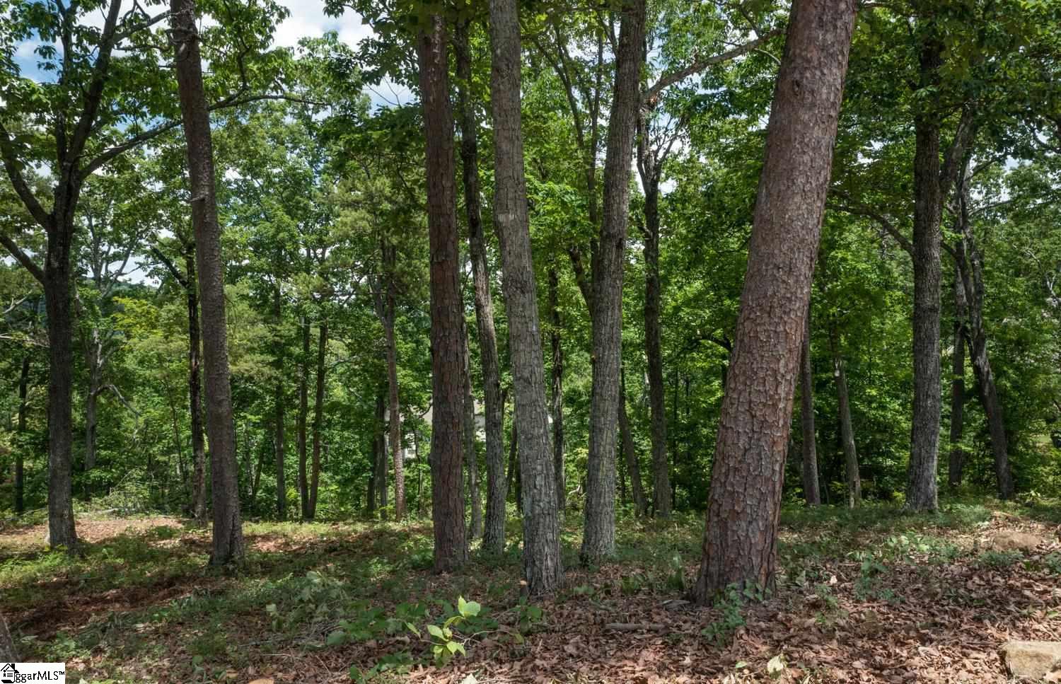 5 Donatello Court Greenville, SC 29609
