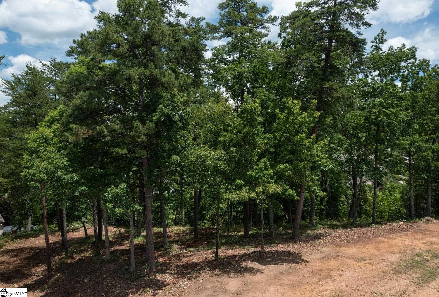 5 Donatello Court Greenville, SC 29609