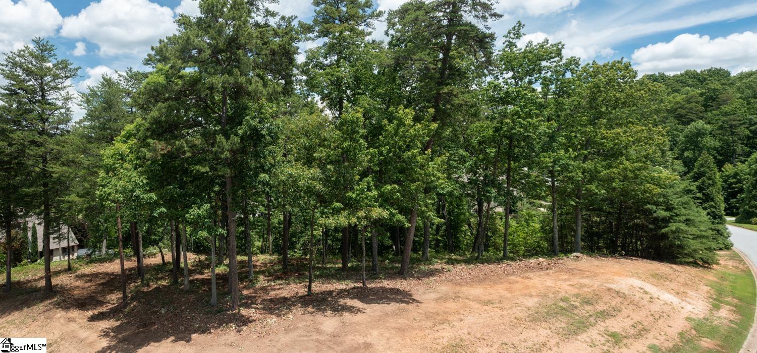 5 Donatello Court Greenville, SC 29609