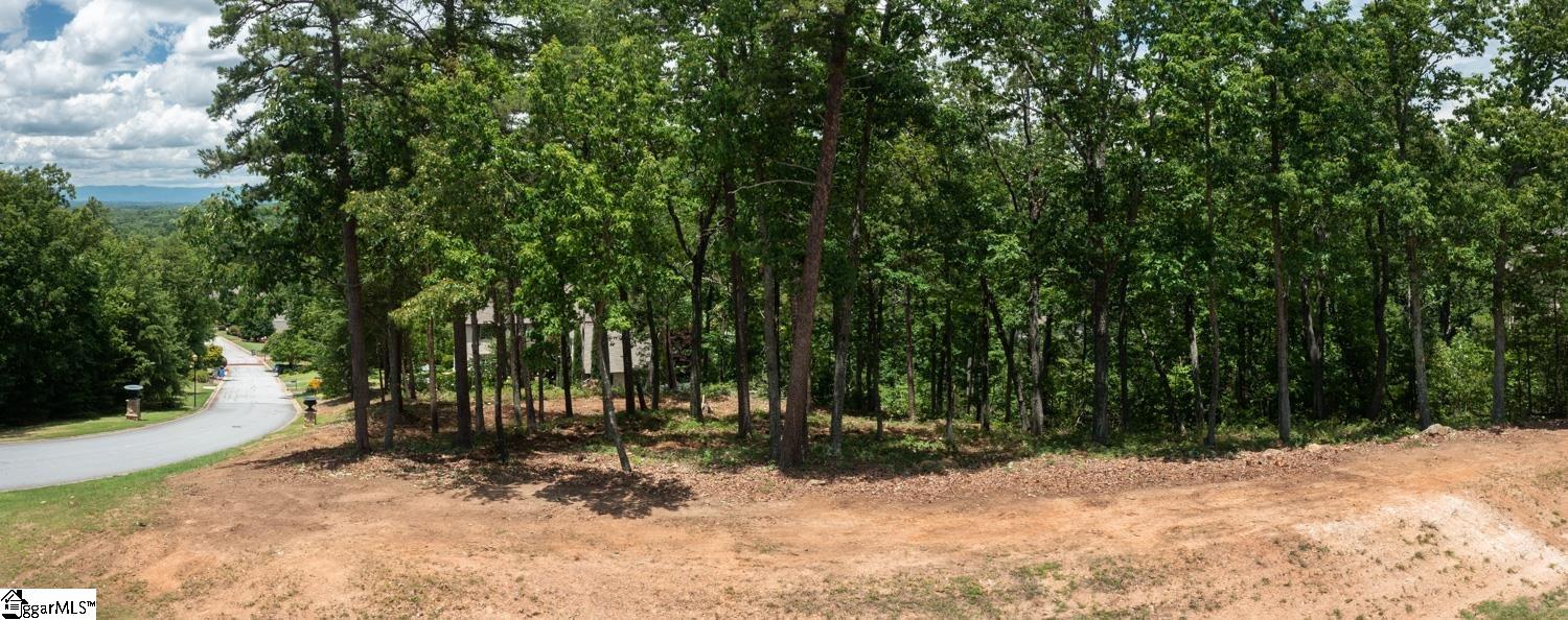 5 Donatello Court Greenville, SC 29609