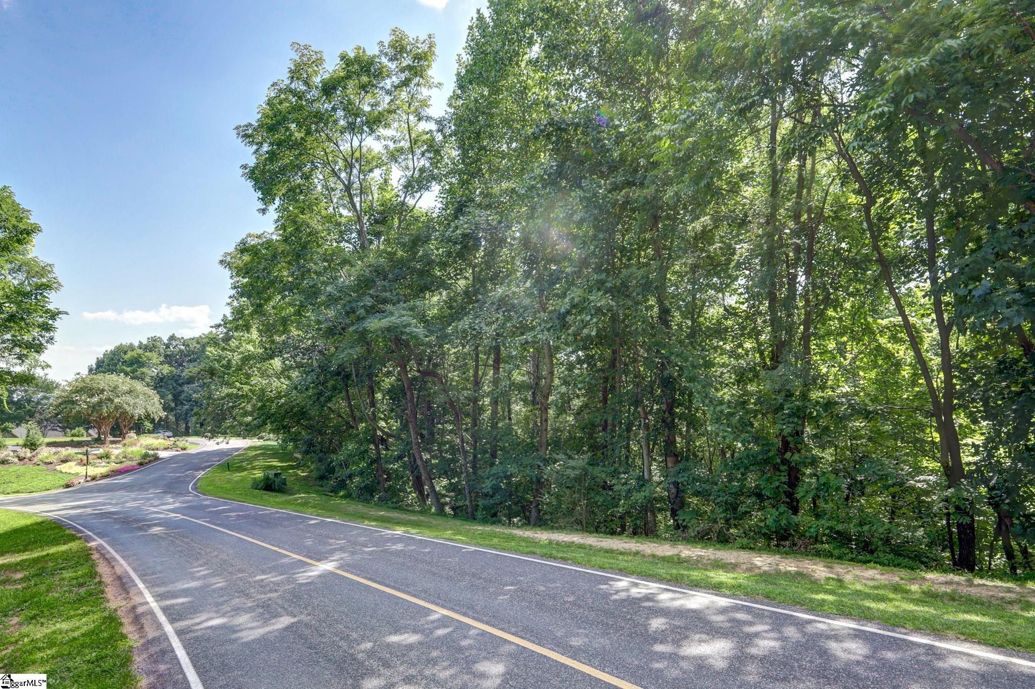 00 Moss Pink Way Landrum, SC 29356