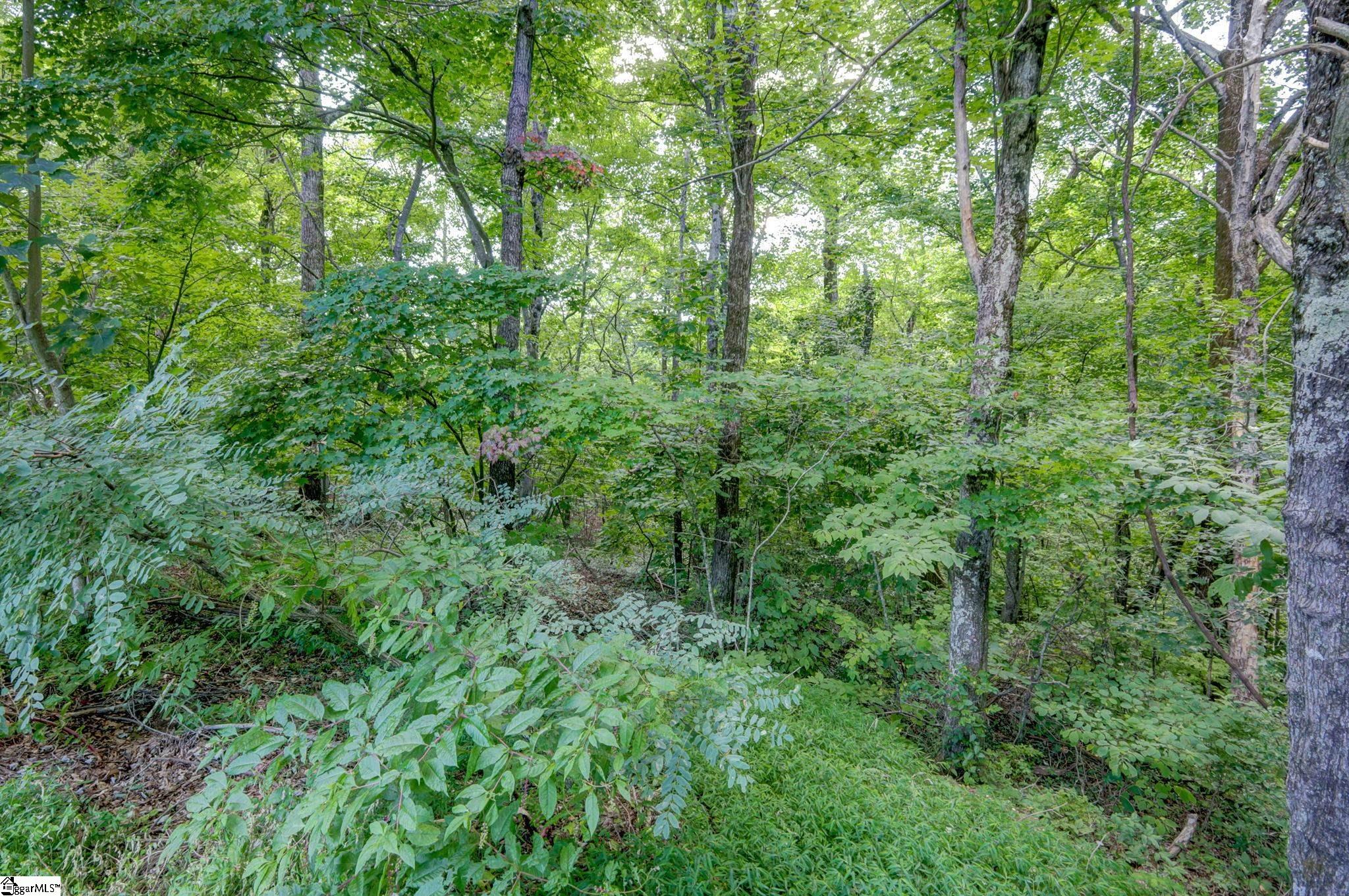00 Moss Pink Way Landrum, SC 29356