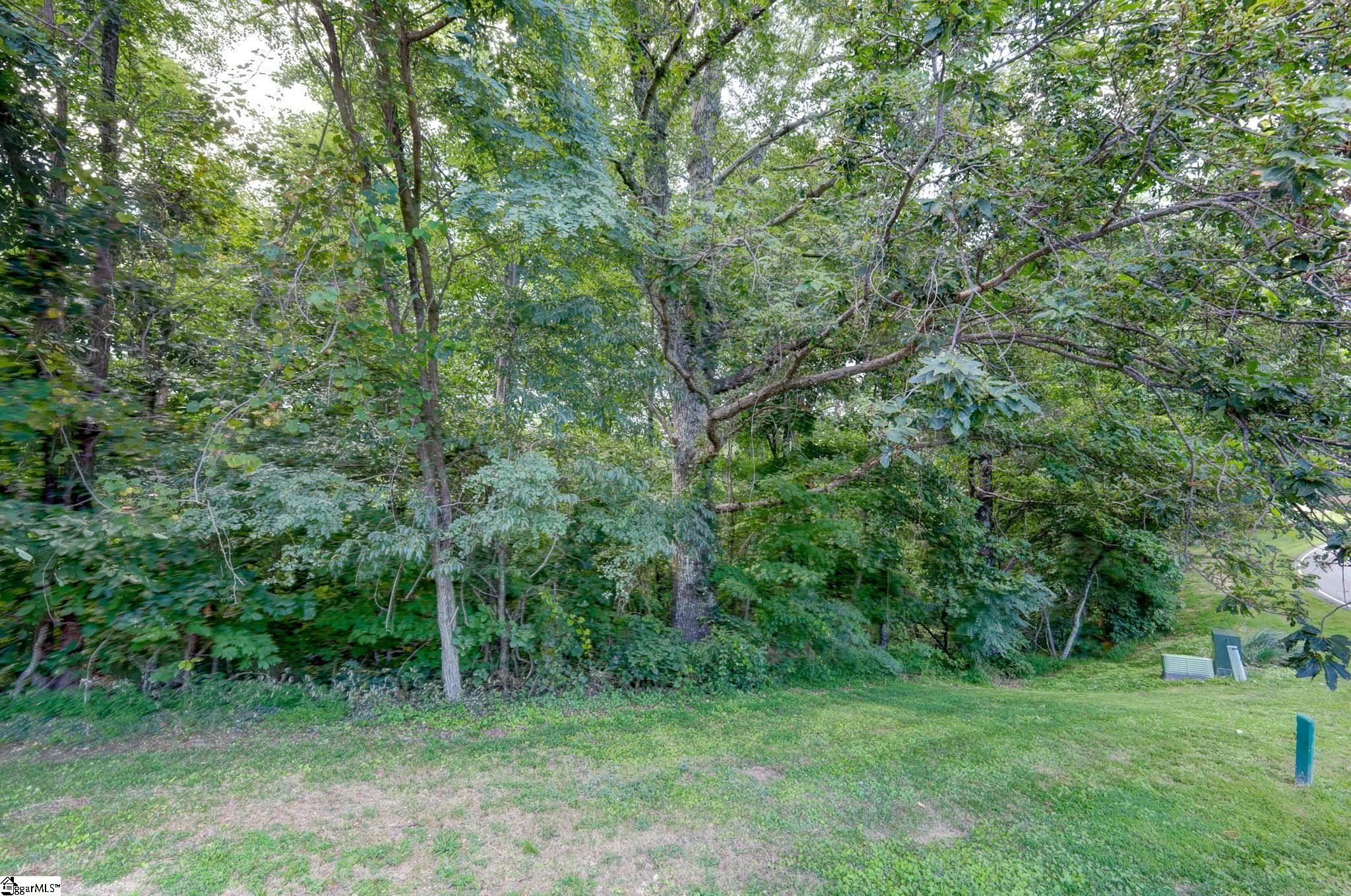 00 Moss Pink Way Landrum, SC 29356