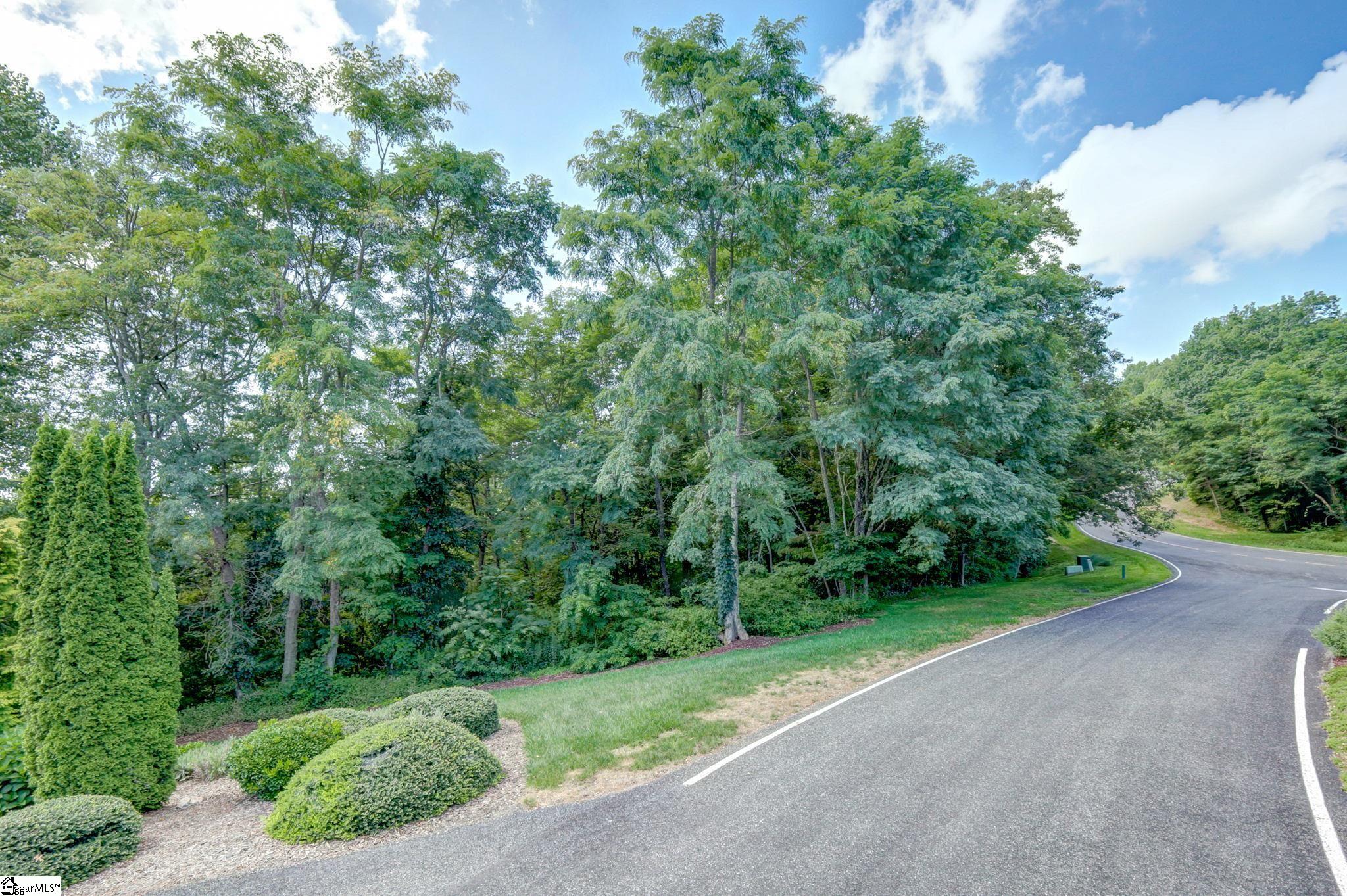 00 Moss Pink Way Landrum, SC 29356