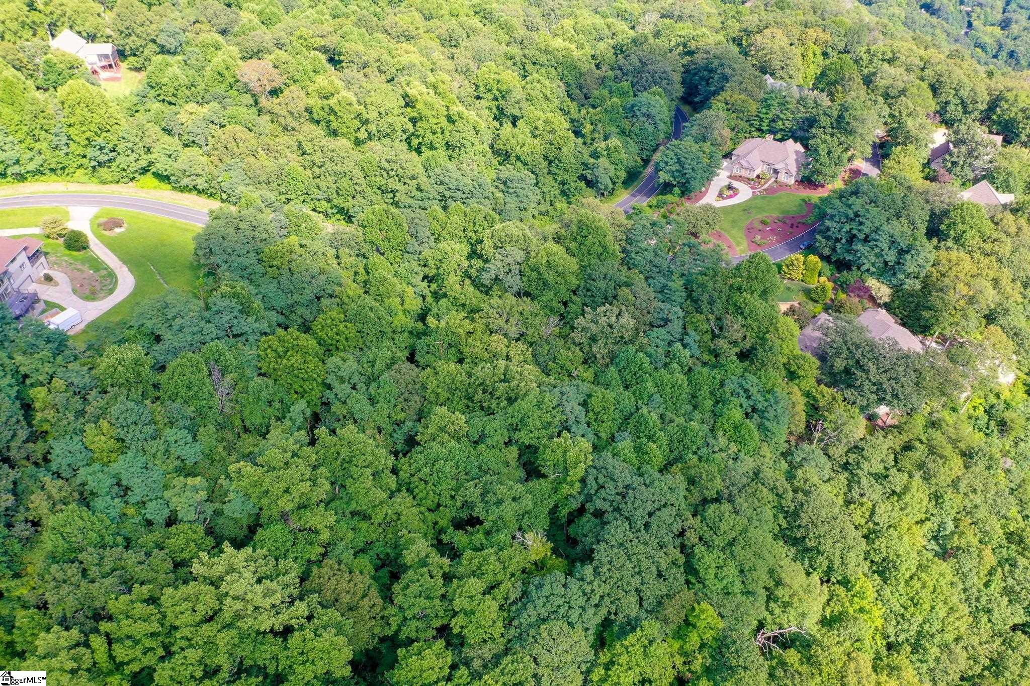 00 Moss Pink Way Landrum, SC 29356