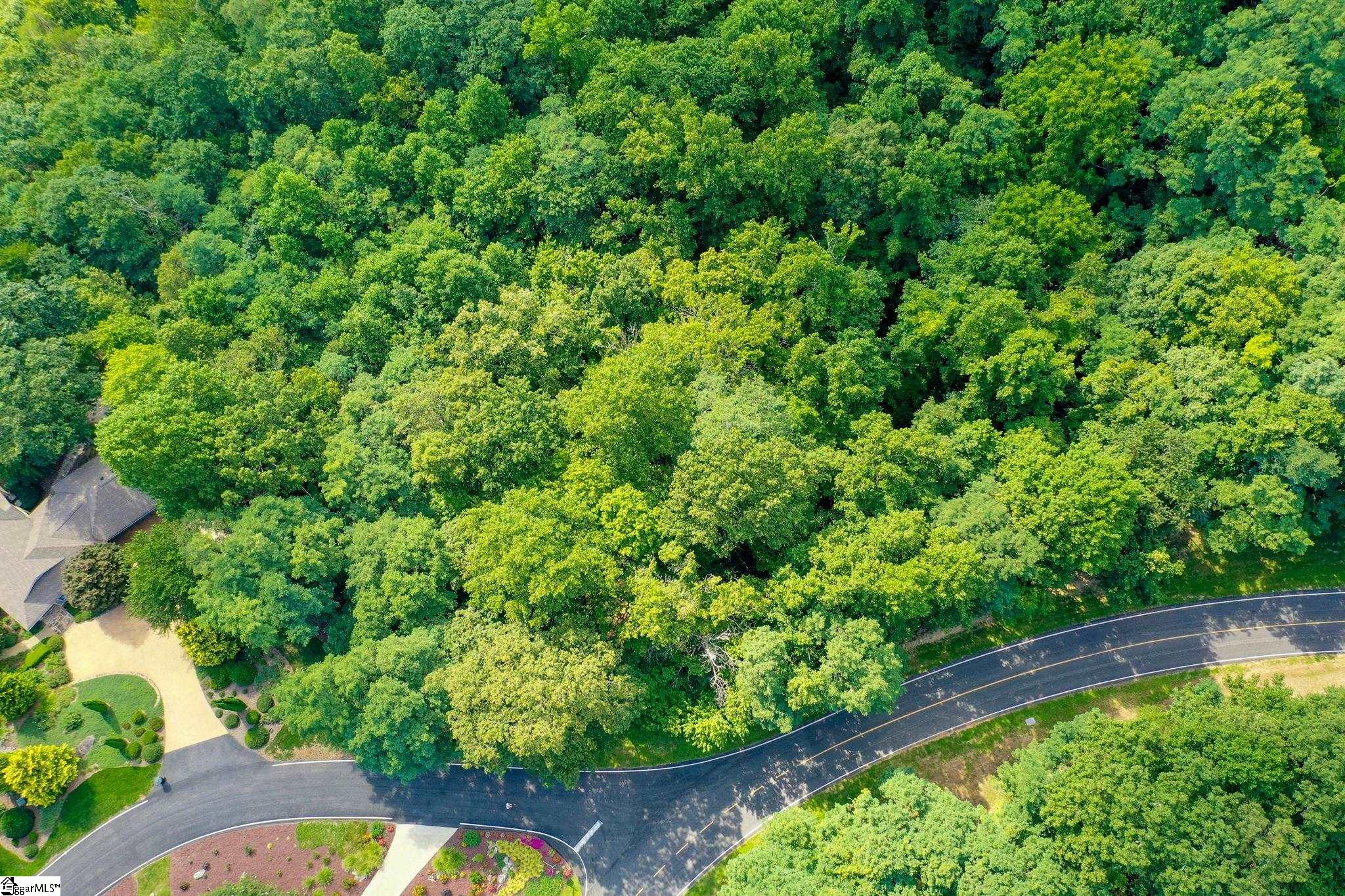 00 Moss Pink Way Landrum, SC 29356