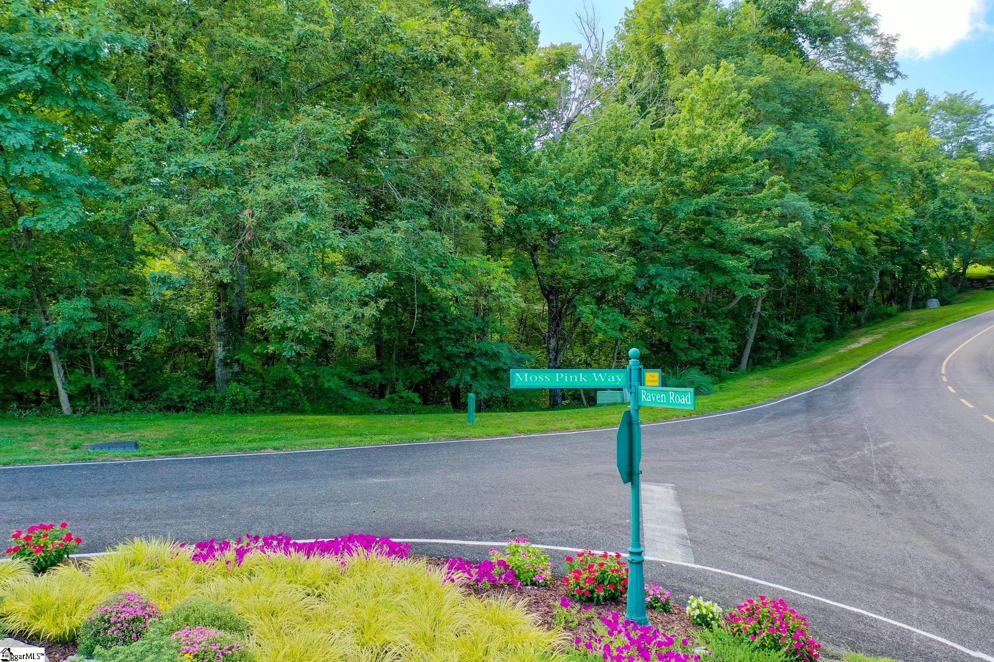 00 Moss Pink Way Landrum, SC 29356