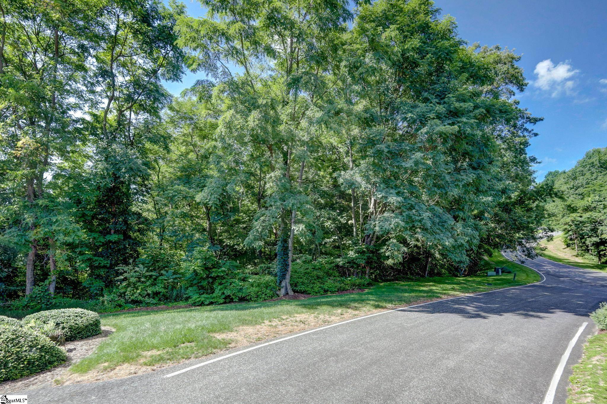 00 Moss Pink Way Landrum, SC 29356