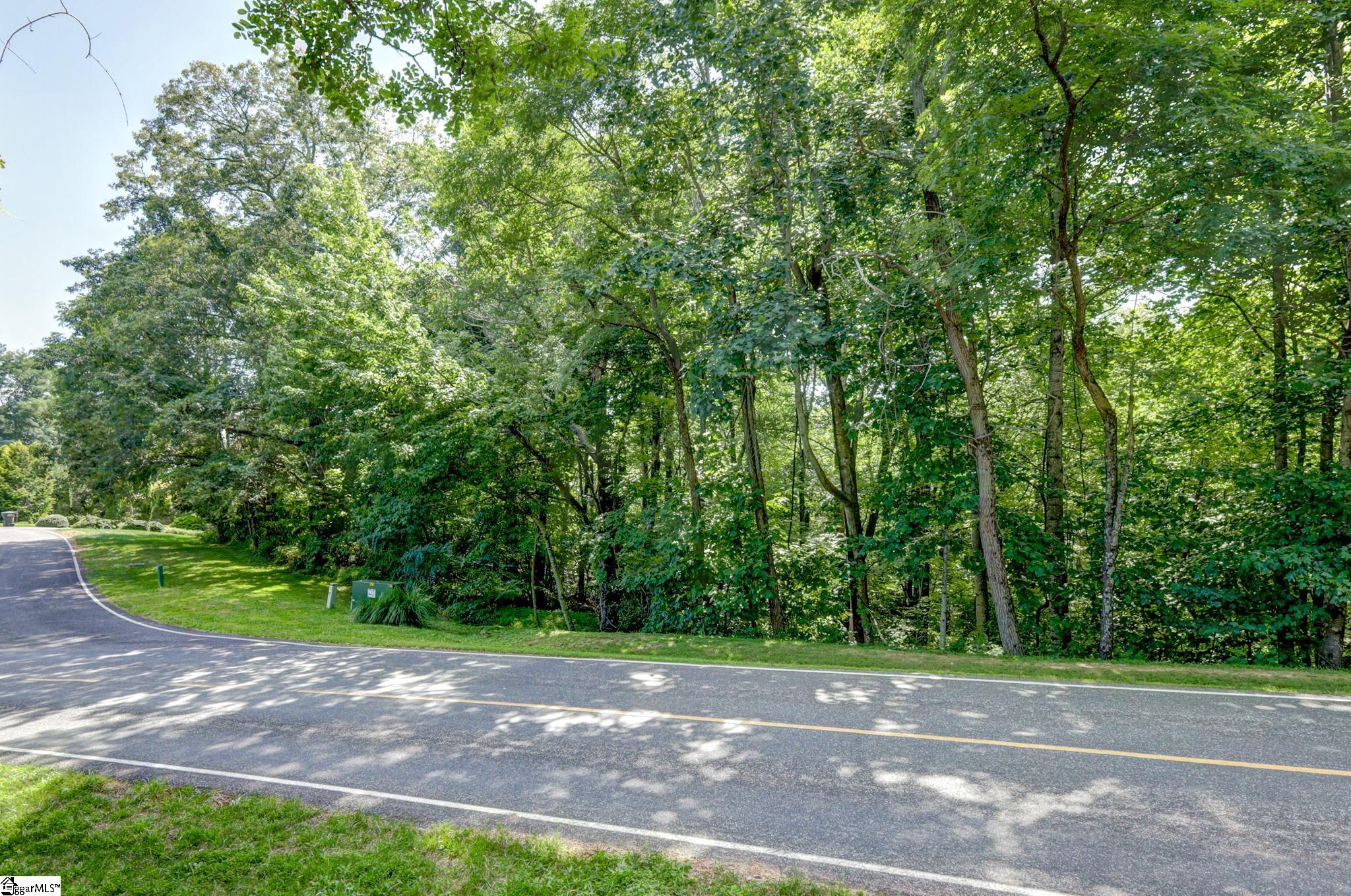 00 Moss Pink Way Landrum, SC 29356