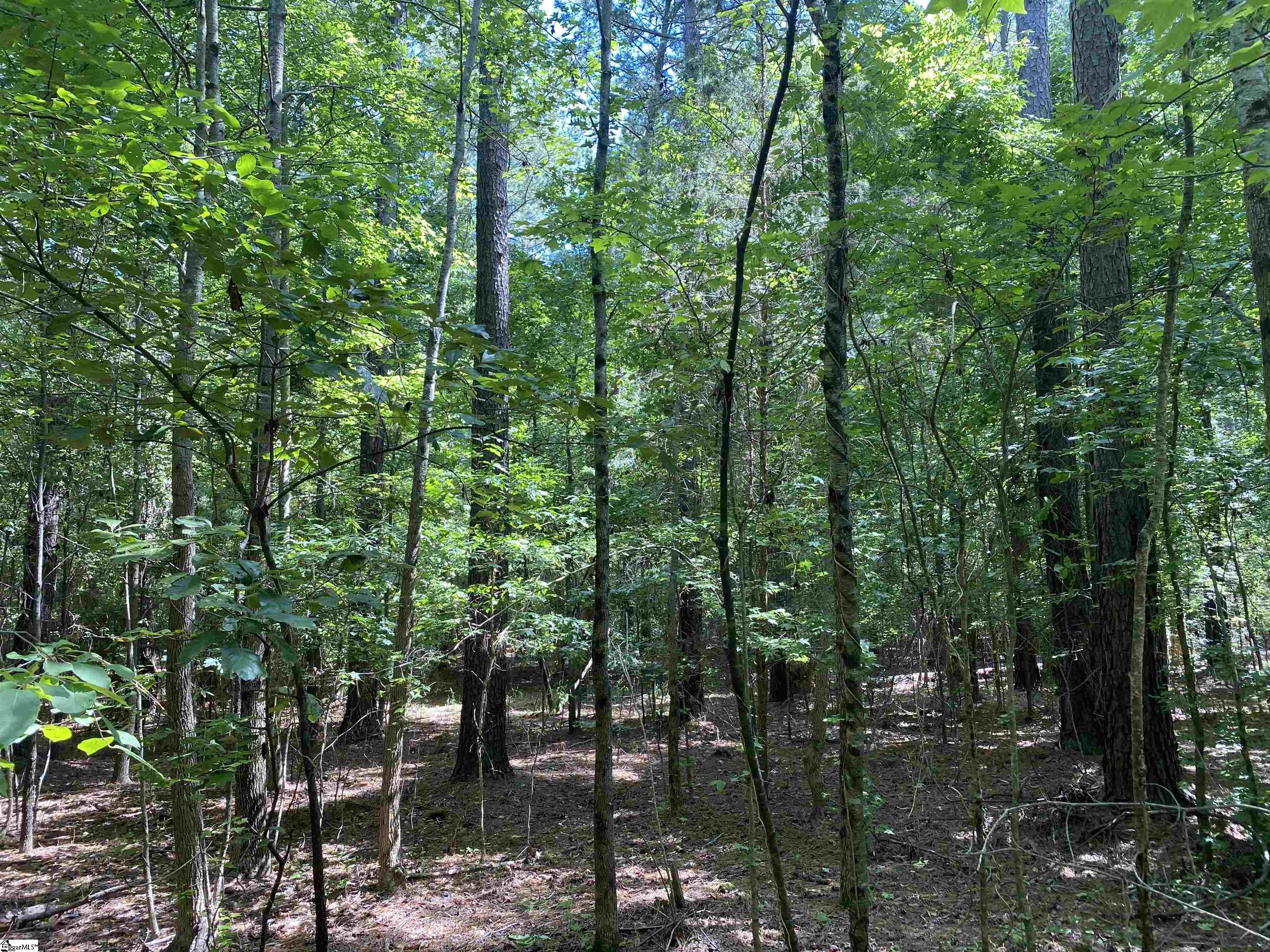 Sandy Springs Road Pelzer, SC 29669