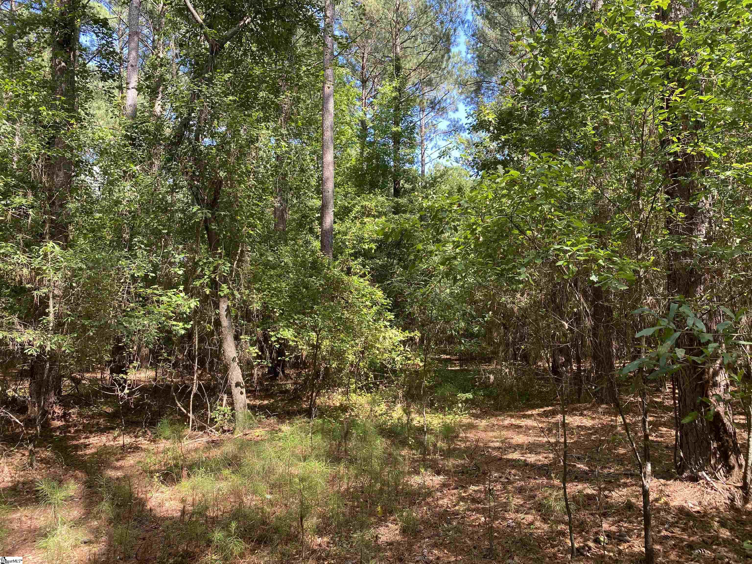 Sandy Springs Road Pelzer, SC 29669