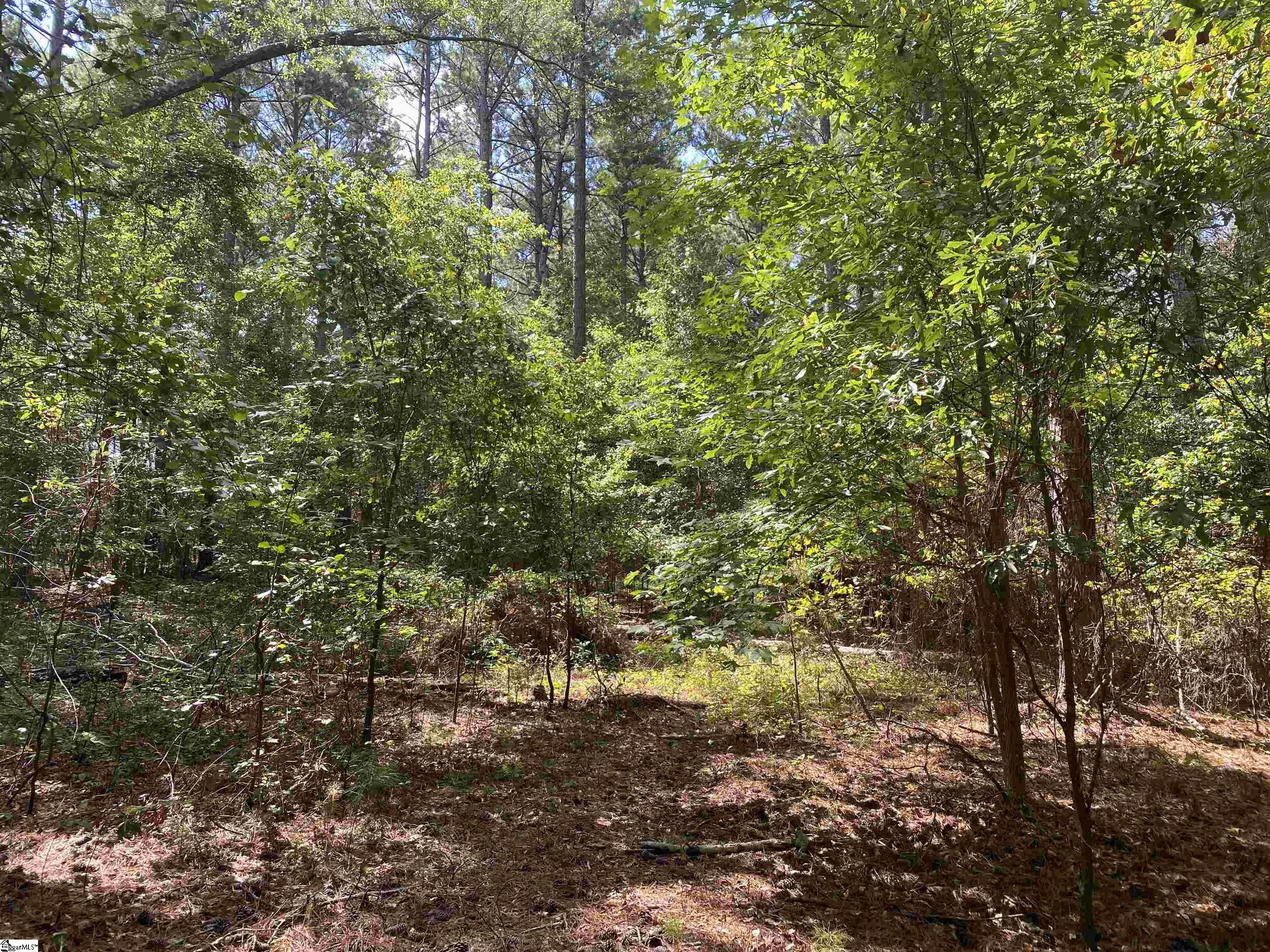 Sandy Springs Road Pelzer, SC 29669