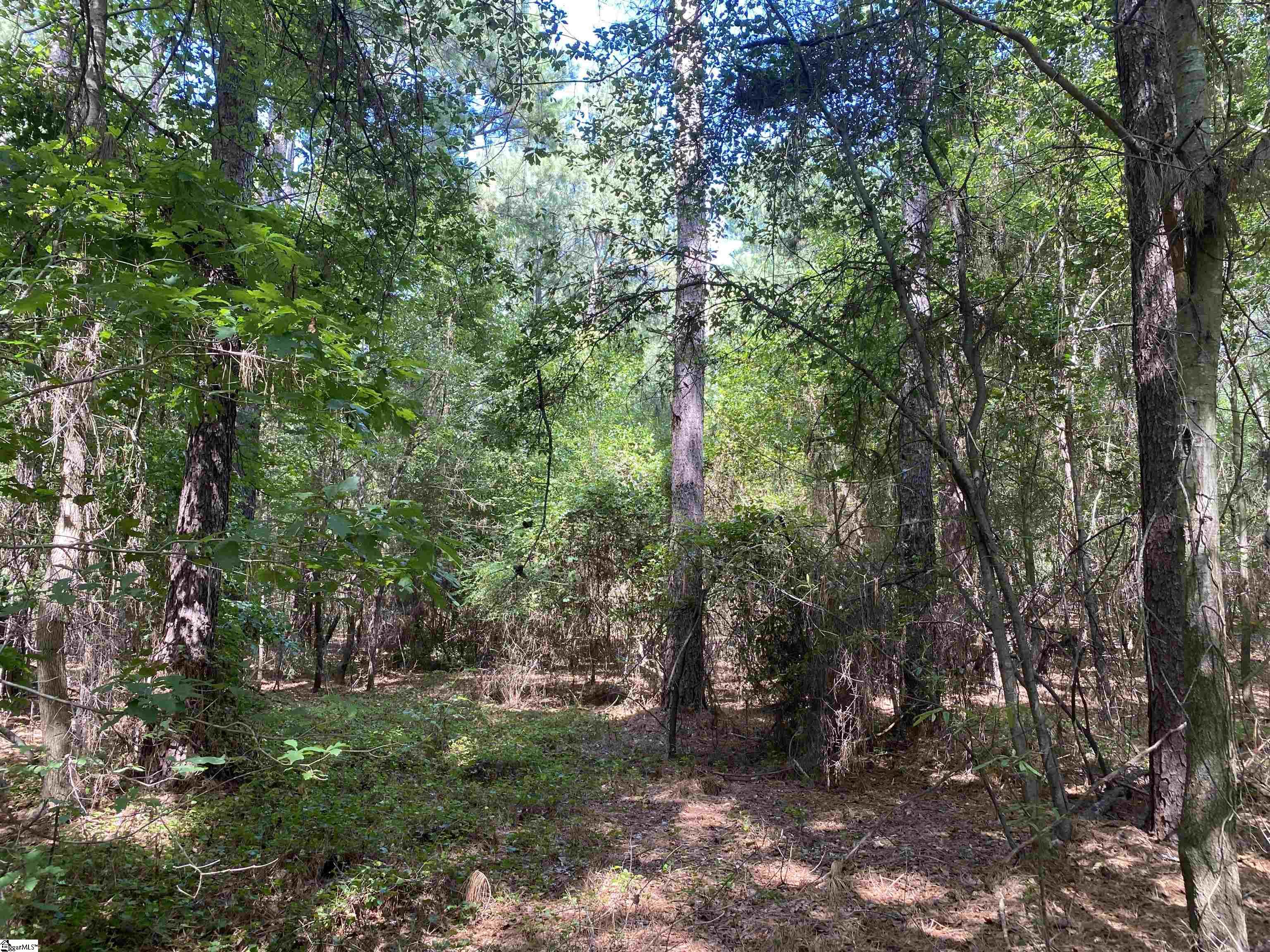 Sandy Springs Road Pelzer, SC 29669