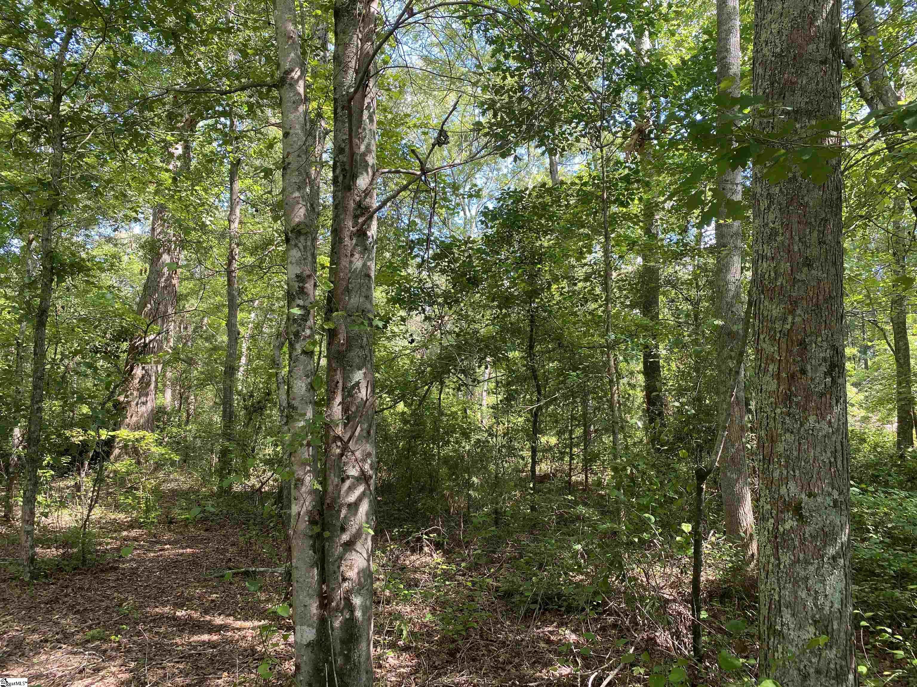 Sandy Springs Road Pelzer, SC 29669