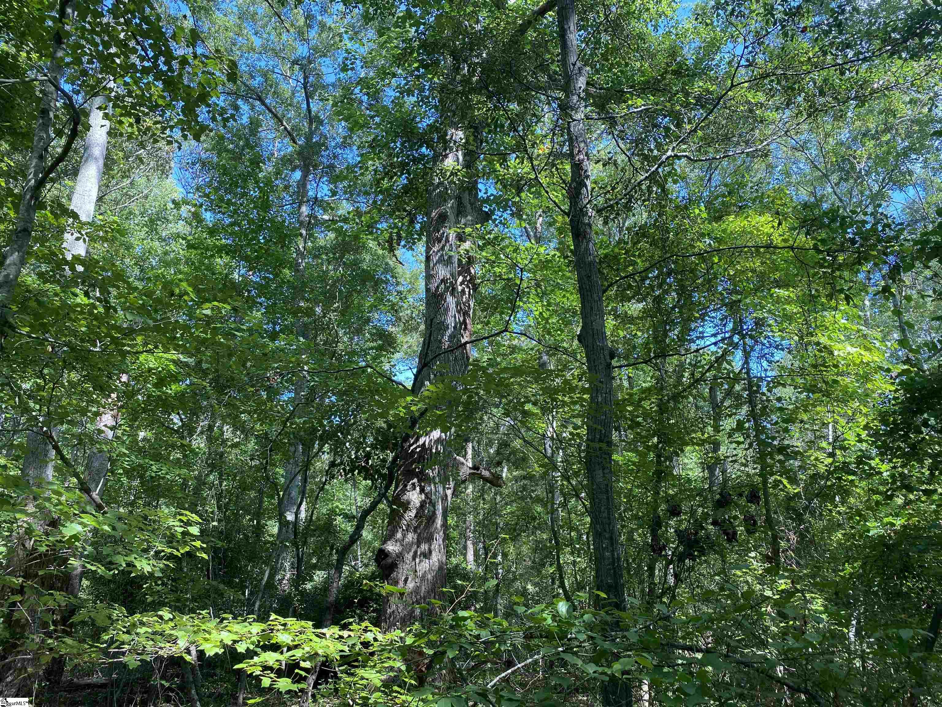 Sandy Springs Road Pelzer, SC 29669