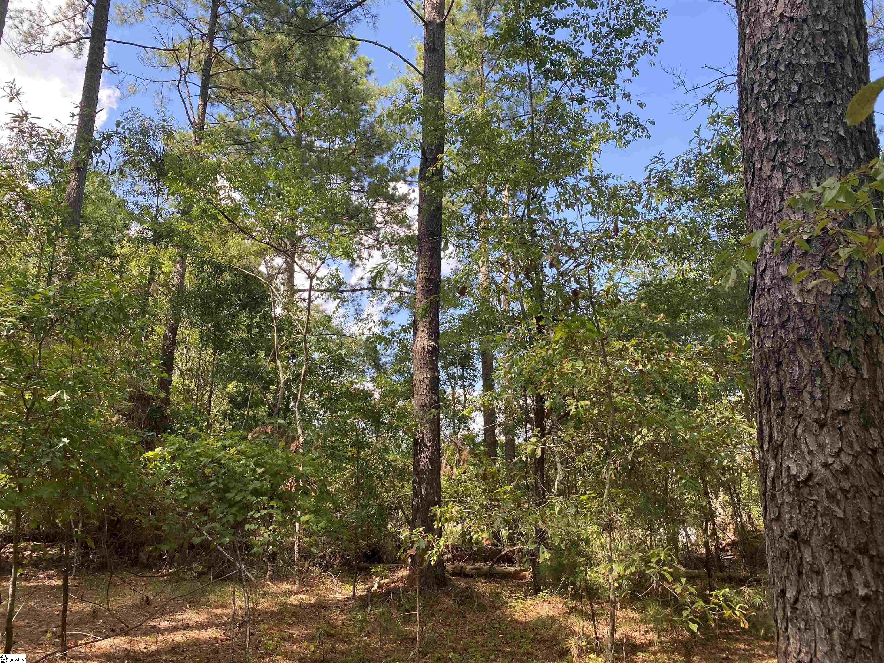 Sandy Springs Road Pelzer, SC 29669