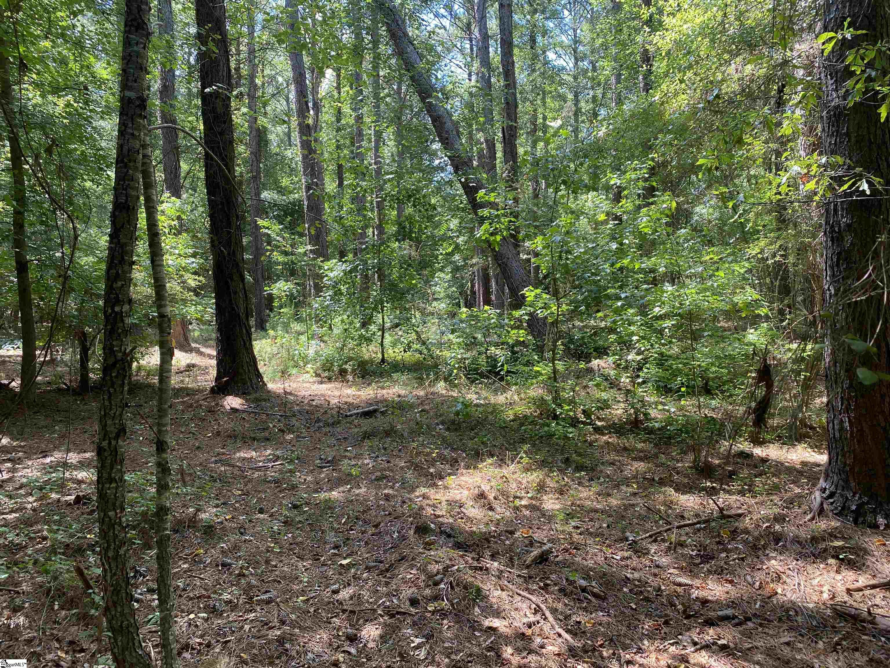 Sandy Springs Road Pelzer, SC 29669