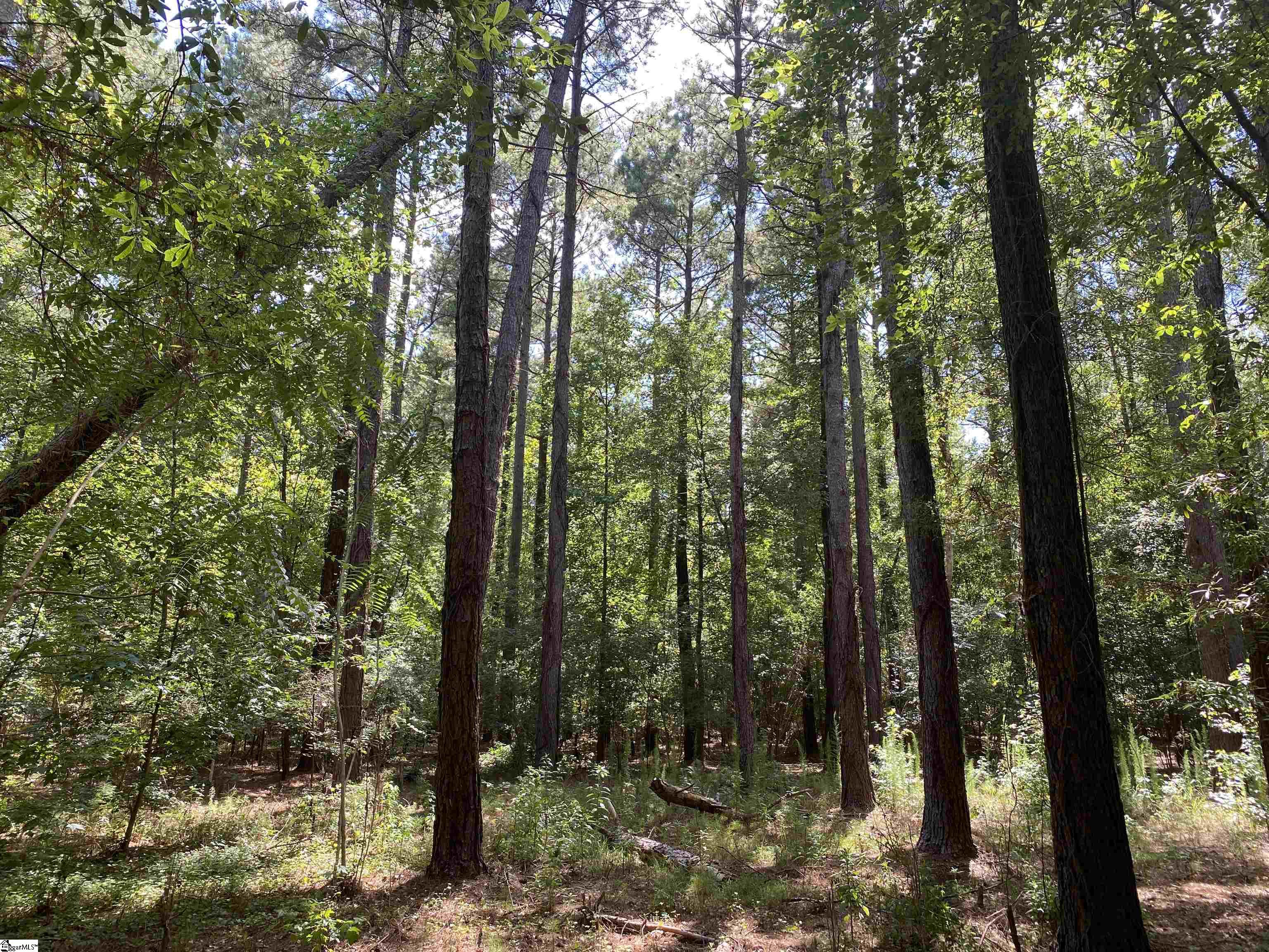 Sandy Springs Road Pelzer, SC 29669