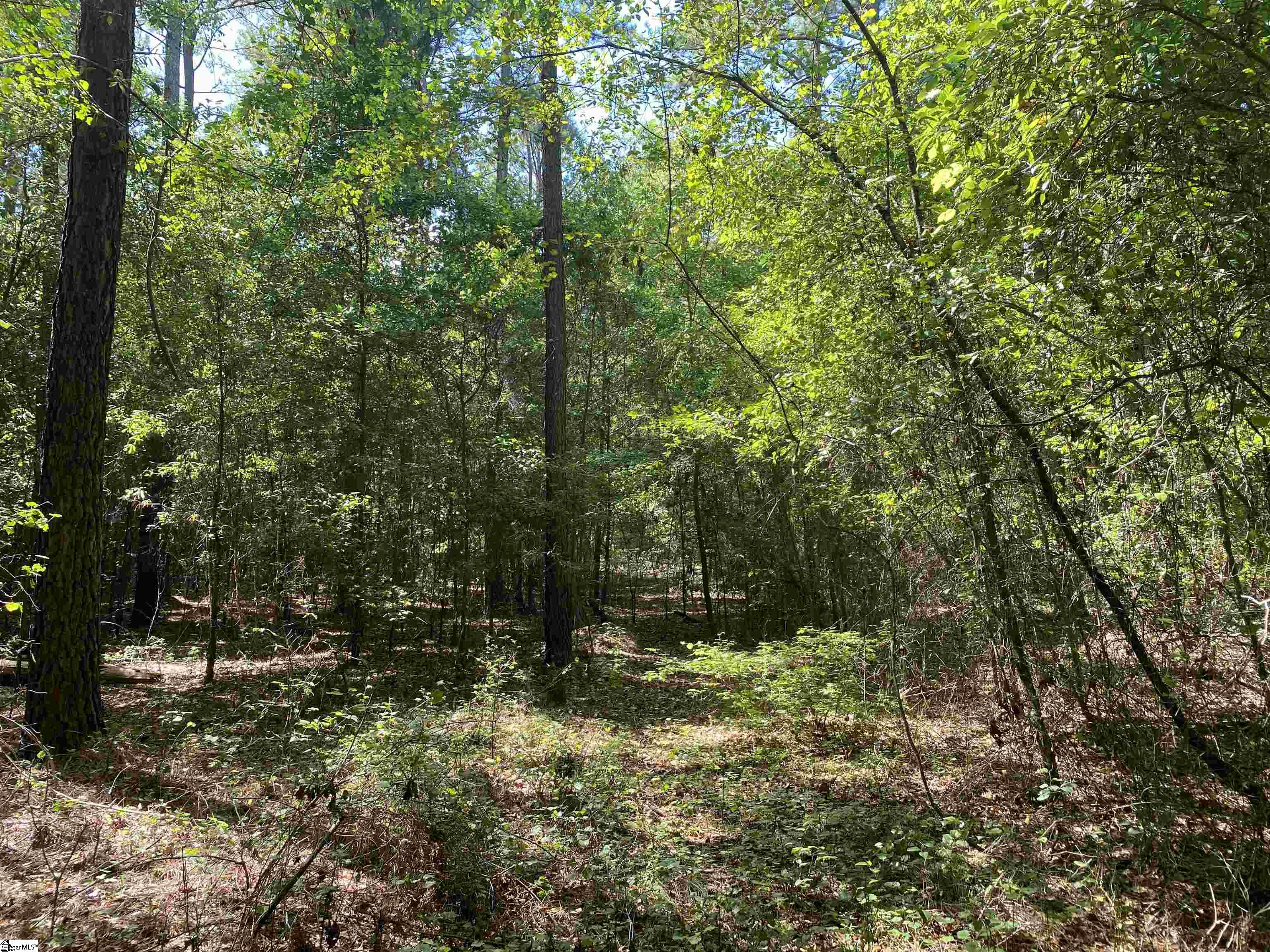 Sandy Springs Road Pelzer, SC 29669