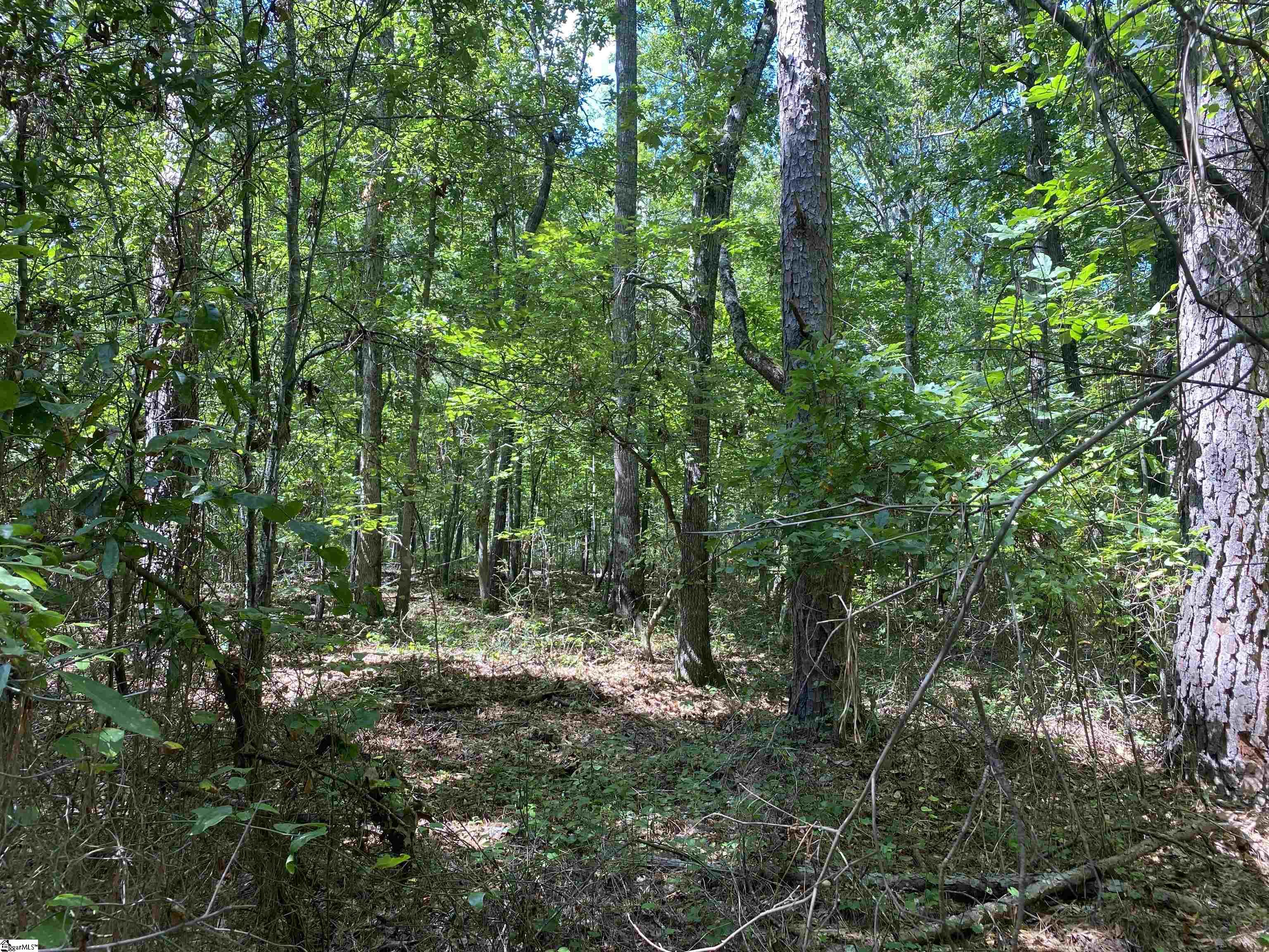 Sandy Springs Road Pelzer, SC 29669