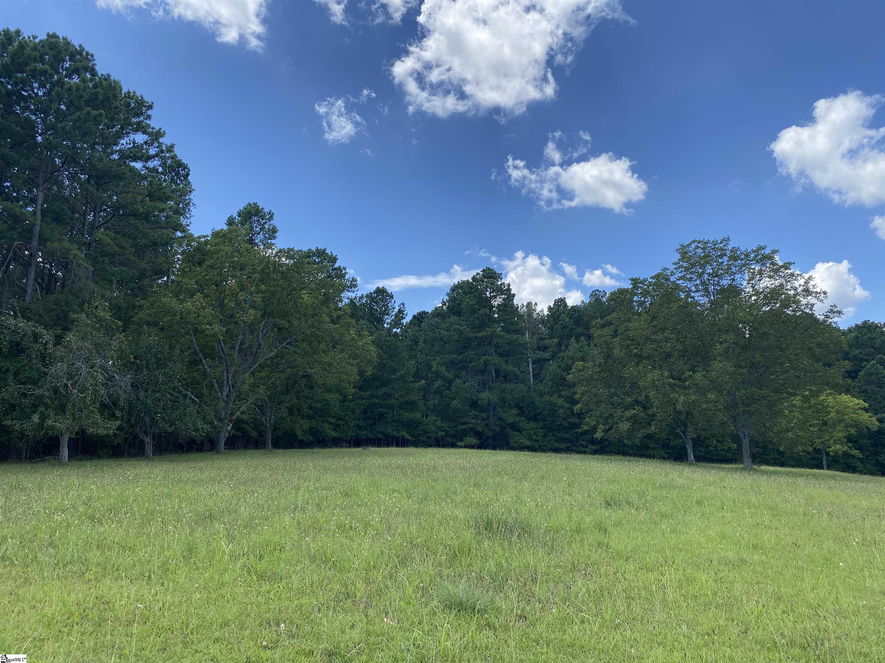 Sandy Springs Road Pelzer, SC 29669