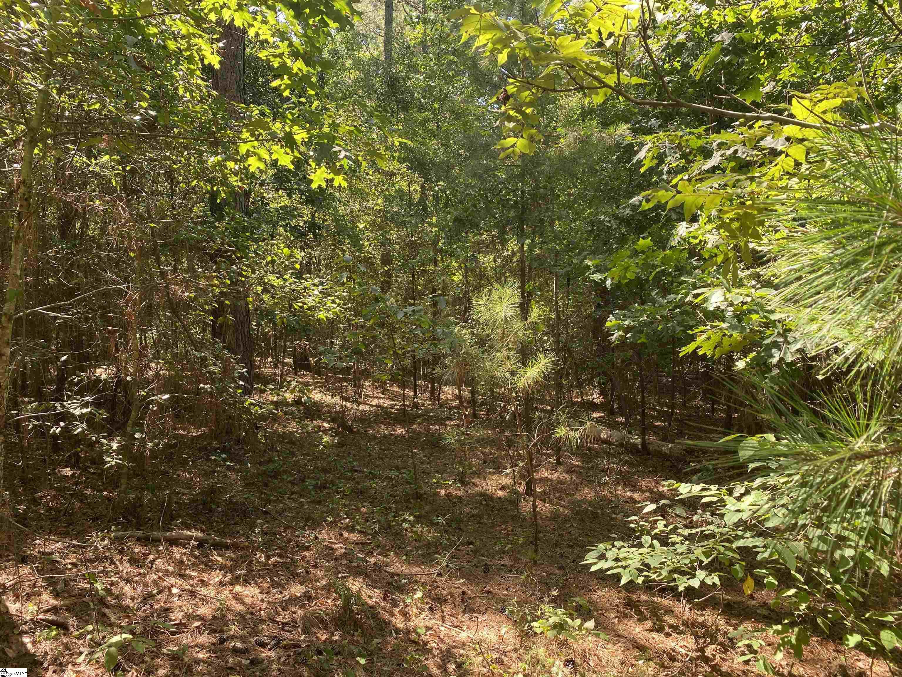Sandy Springs Road Pelzer, SC 29669