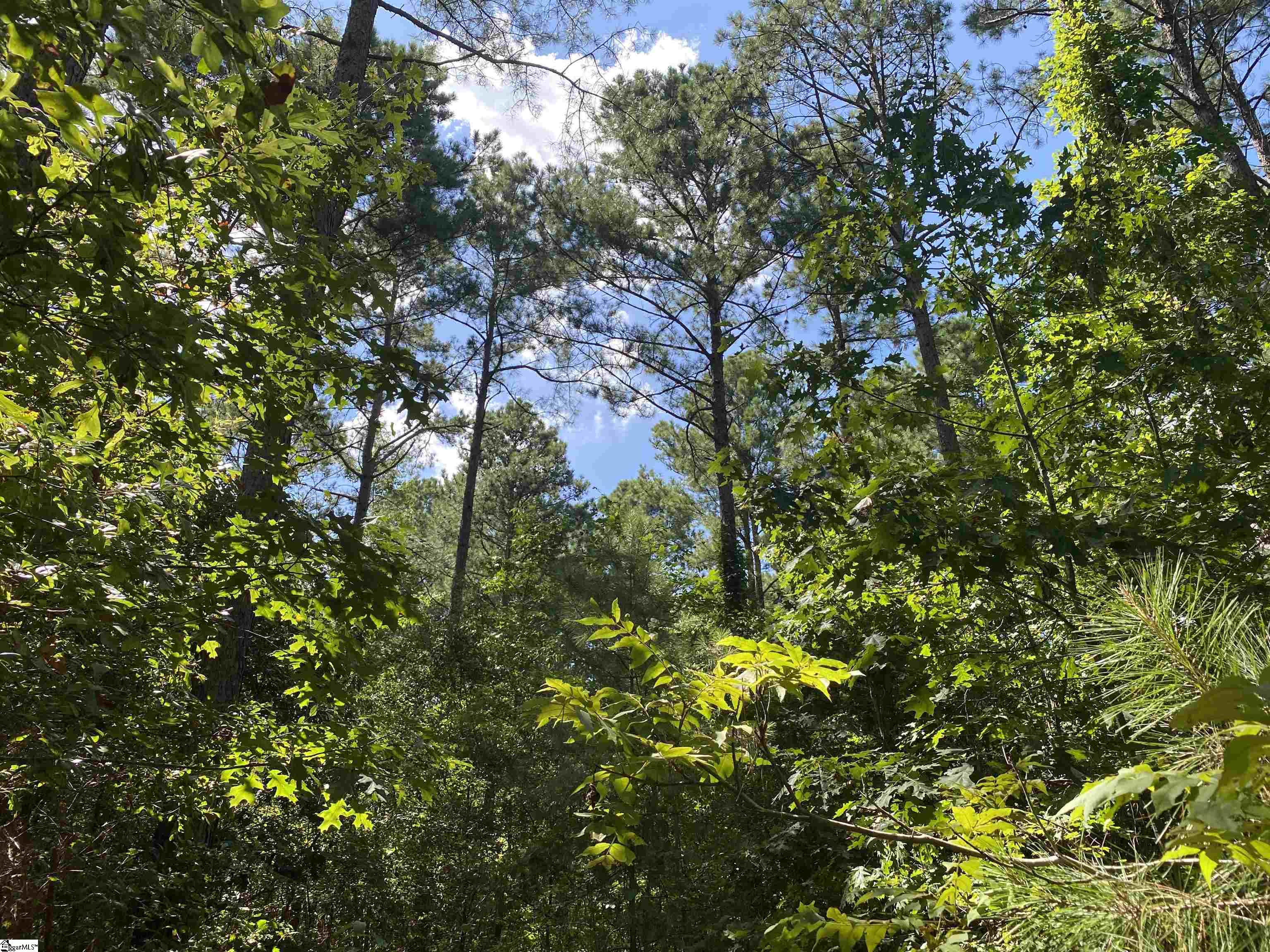 Sandy Springs Road Pelzer, SC 29669