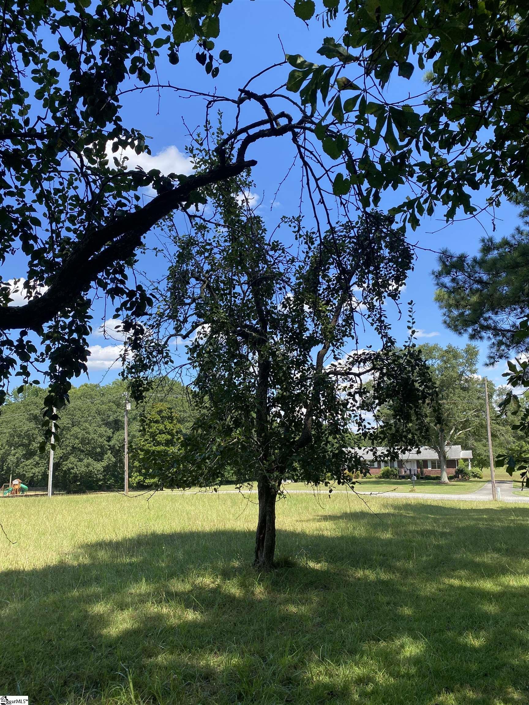 Sandy Springs Road Pelzer, SC 29669
