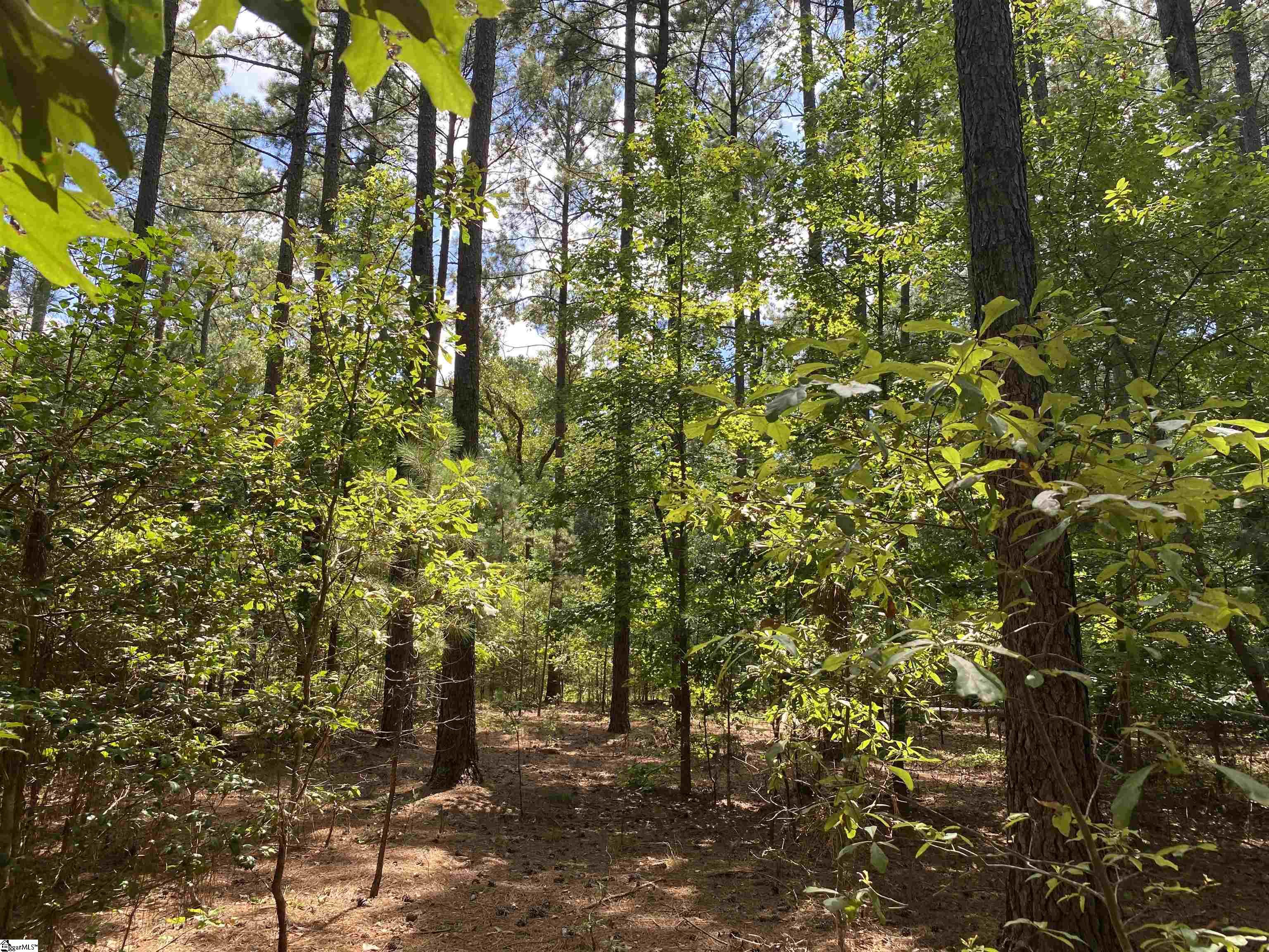Sandy Springs Road Pelzer, SC 29669
