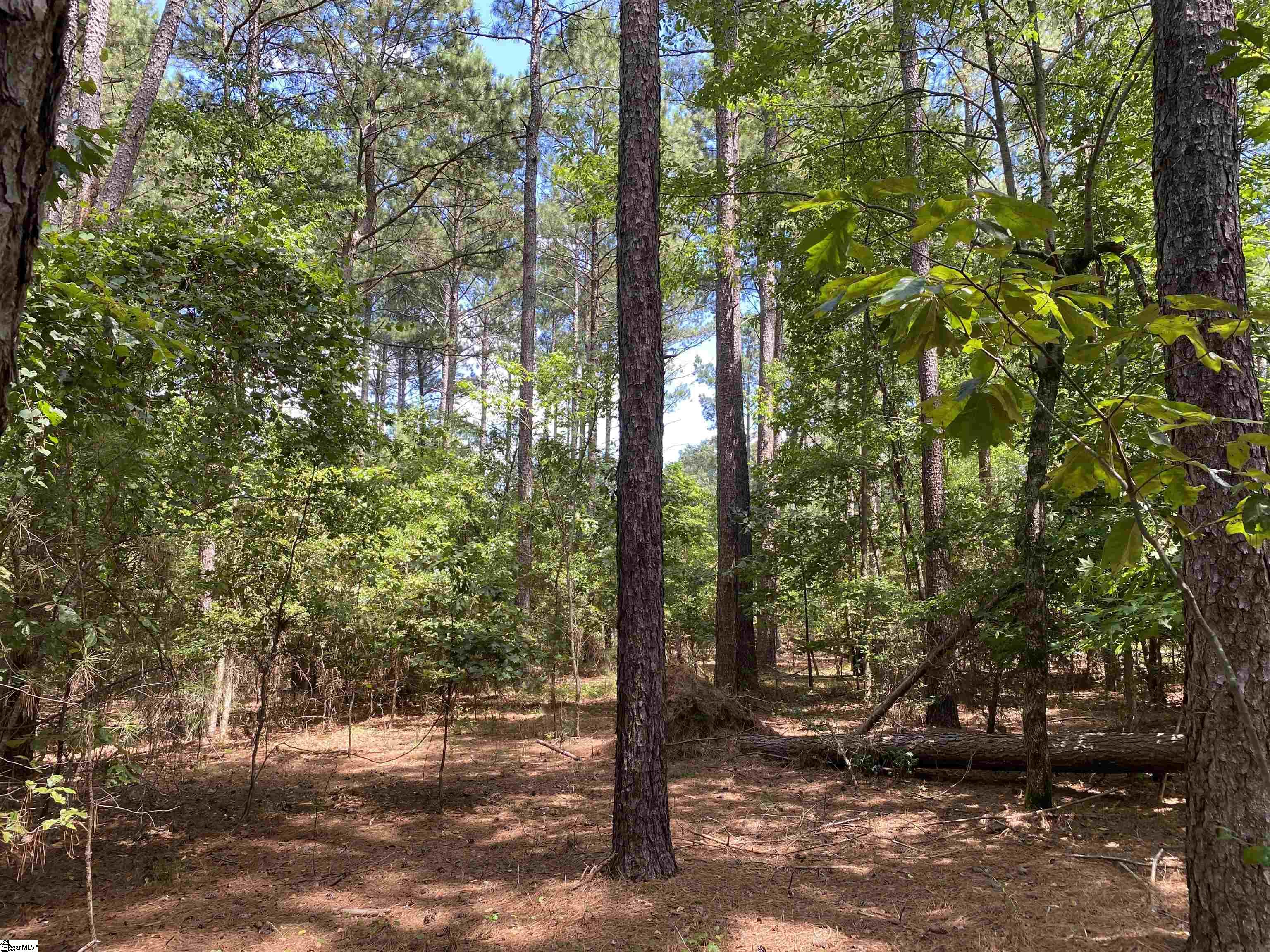 Sandy Springs Road Pelzer, SC 29669