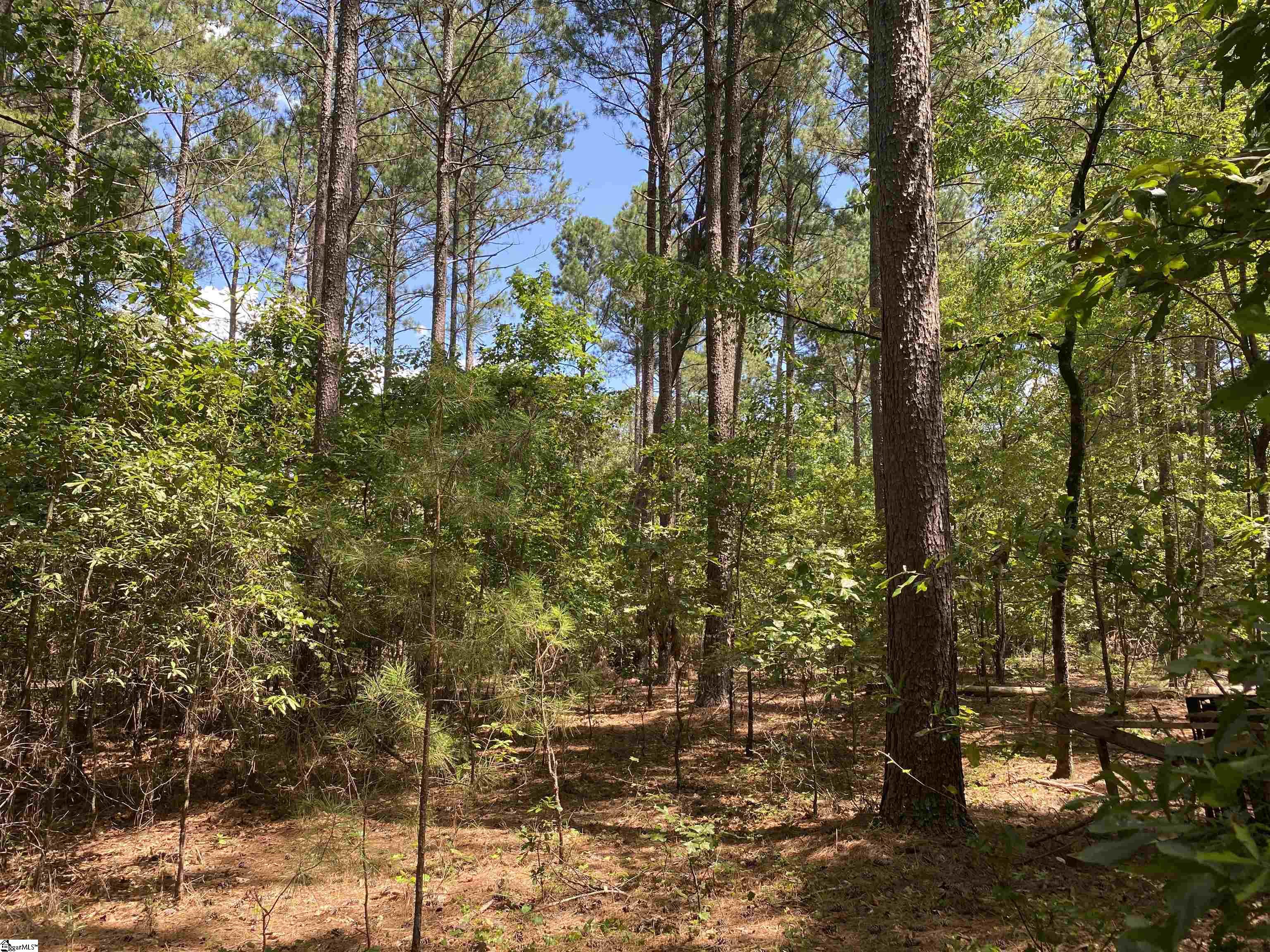 Sandy Springs Road Pelzer, SC 29669