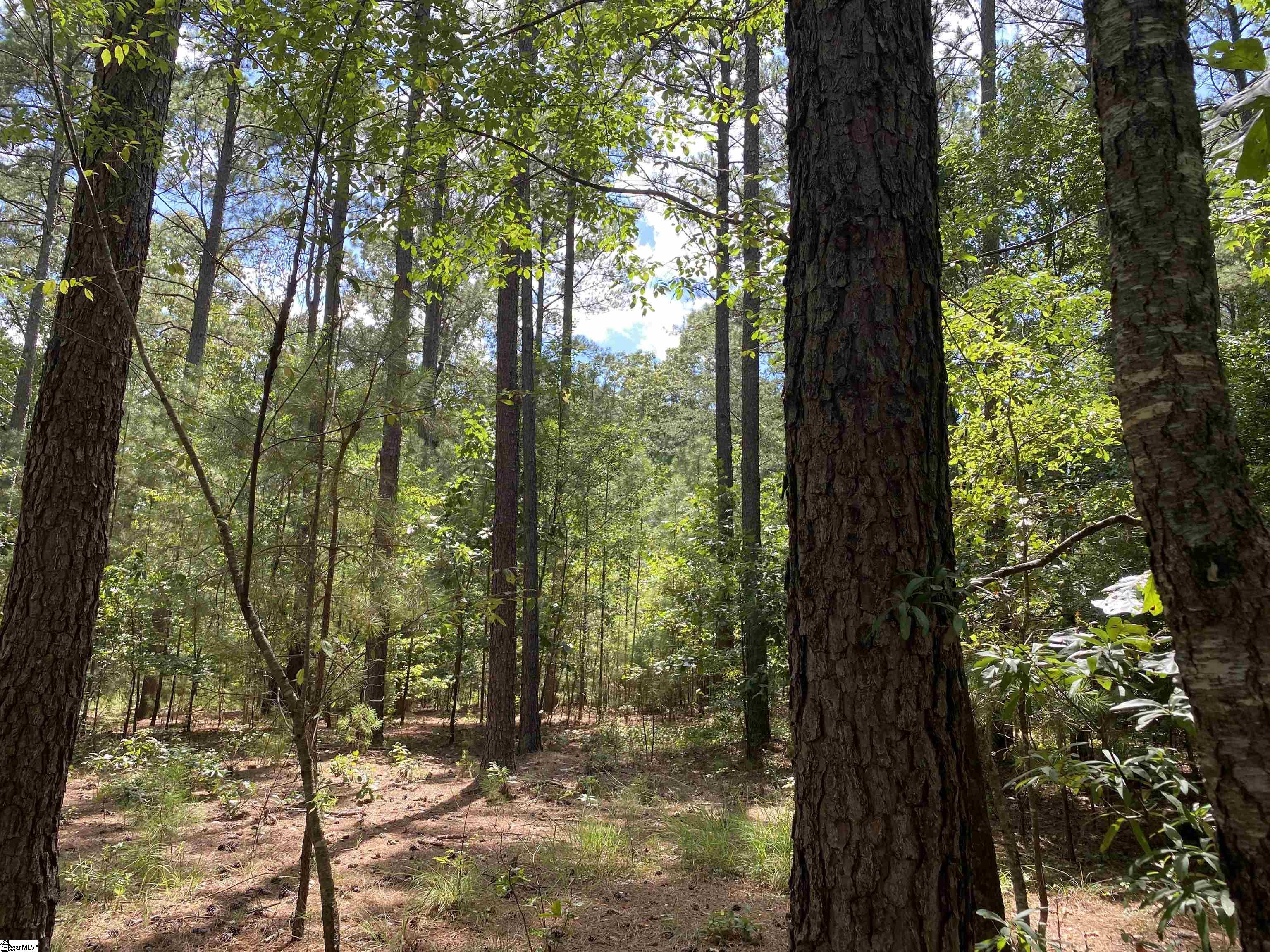 Sandy Springs Road Pelzer, SC 29669