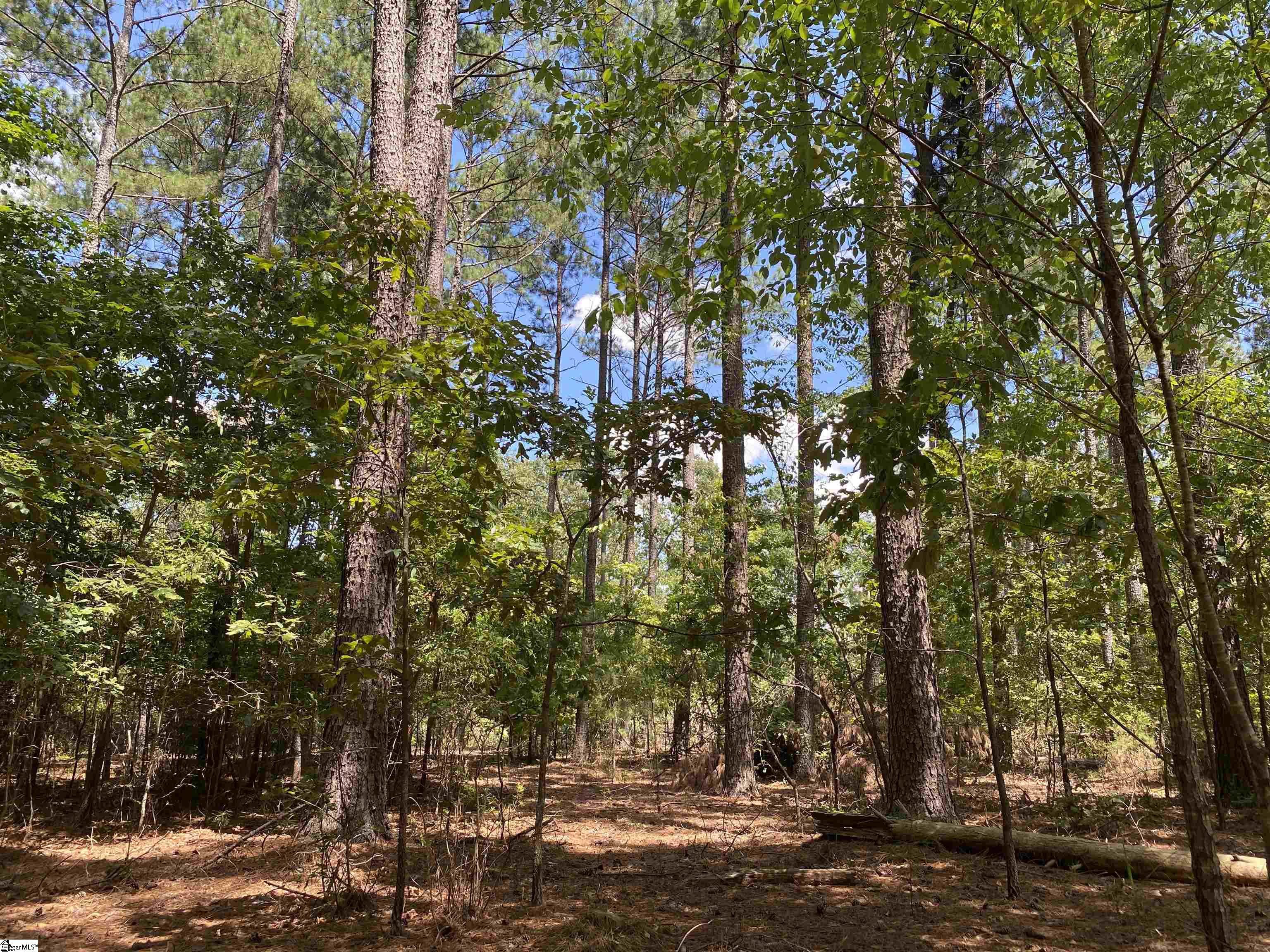 Sandy Springs Road Pelzer, SC 29669