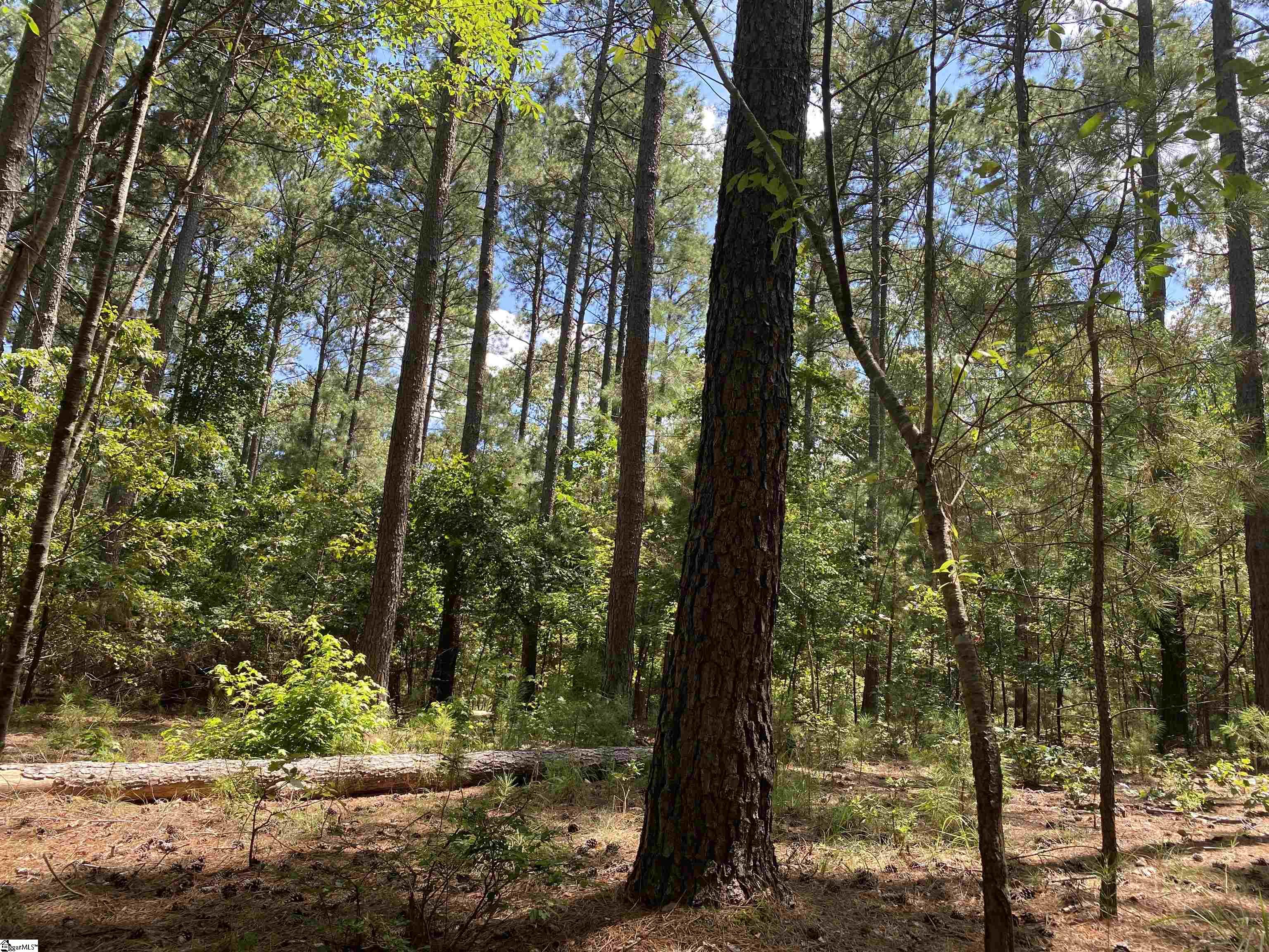 Sandy Springs Road Pelzer, SC 29669