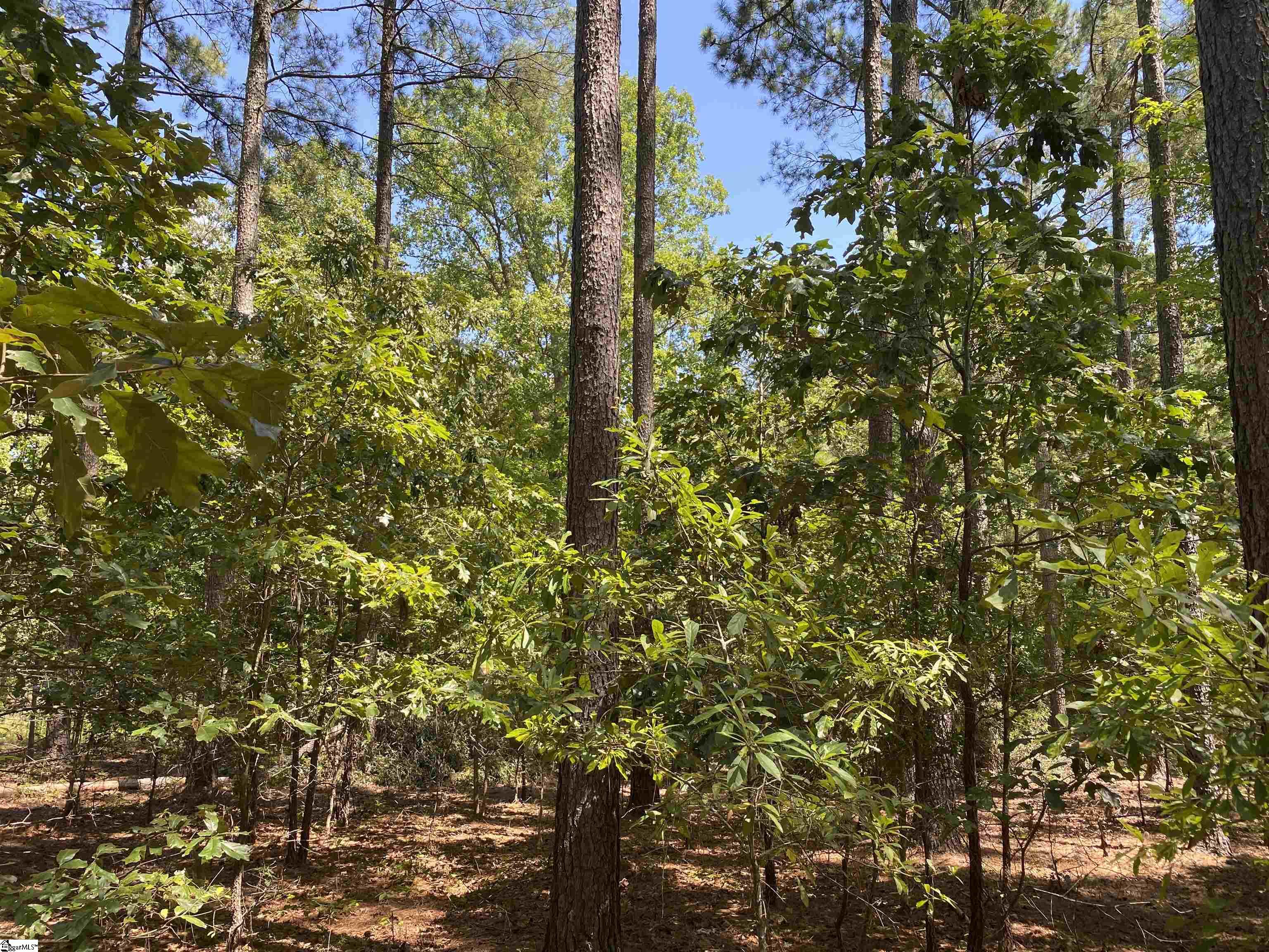 Sandy Springs Road Pelzer, SC 29669